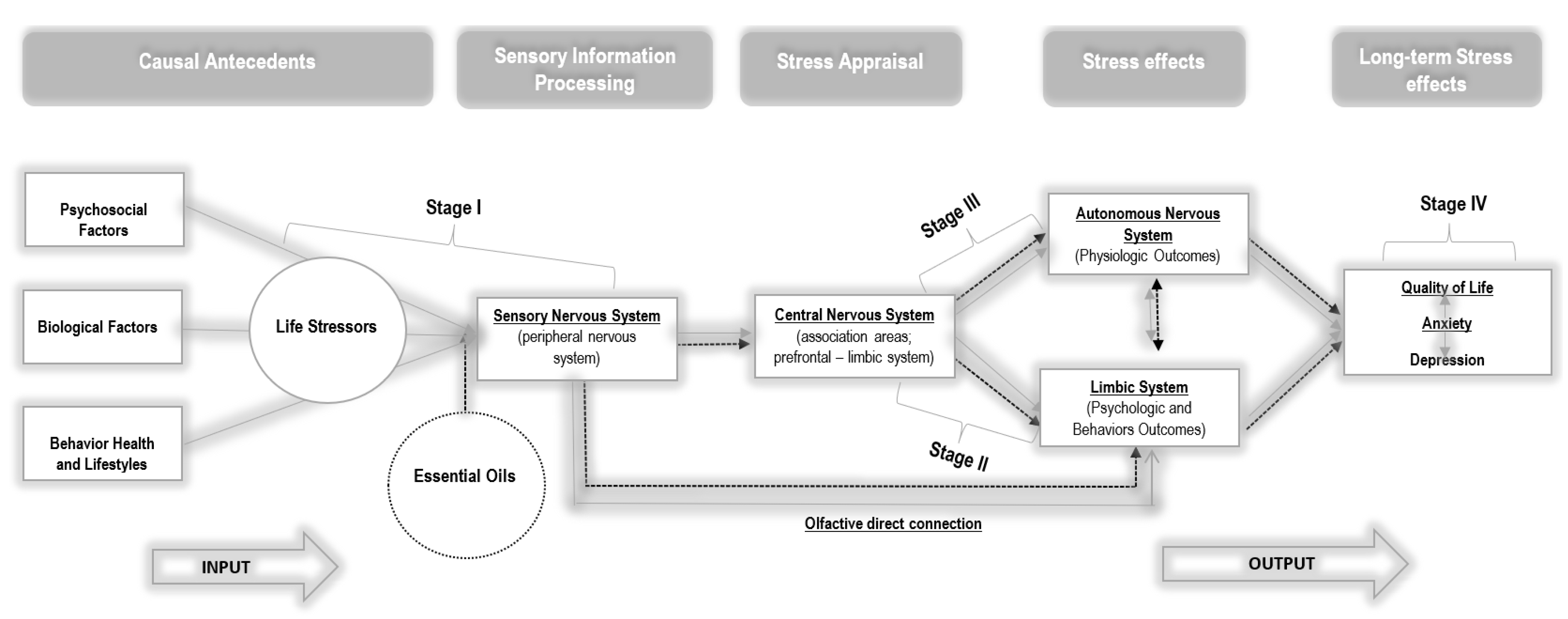 Ijerph 19 09260 g005 550