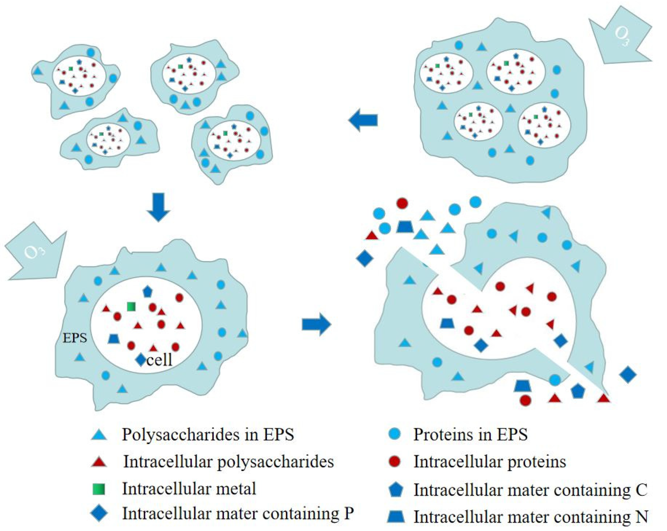 Ijerph 19 09287 g003