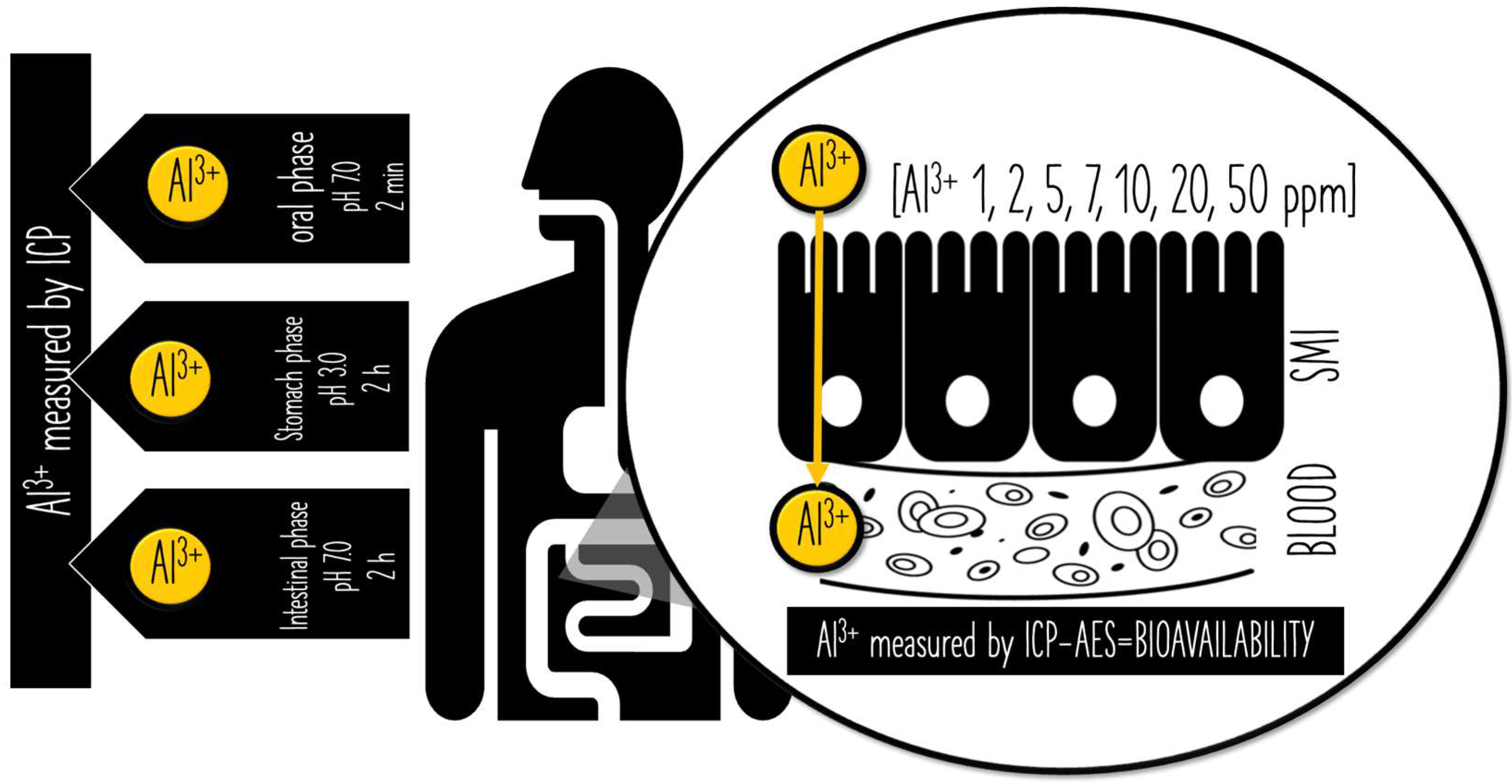Ijerph 19 09362 g002 550