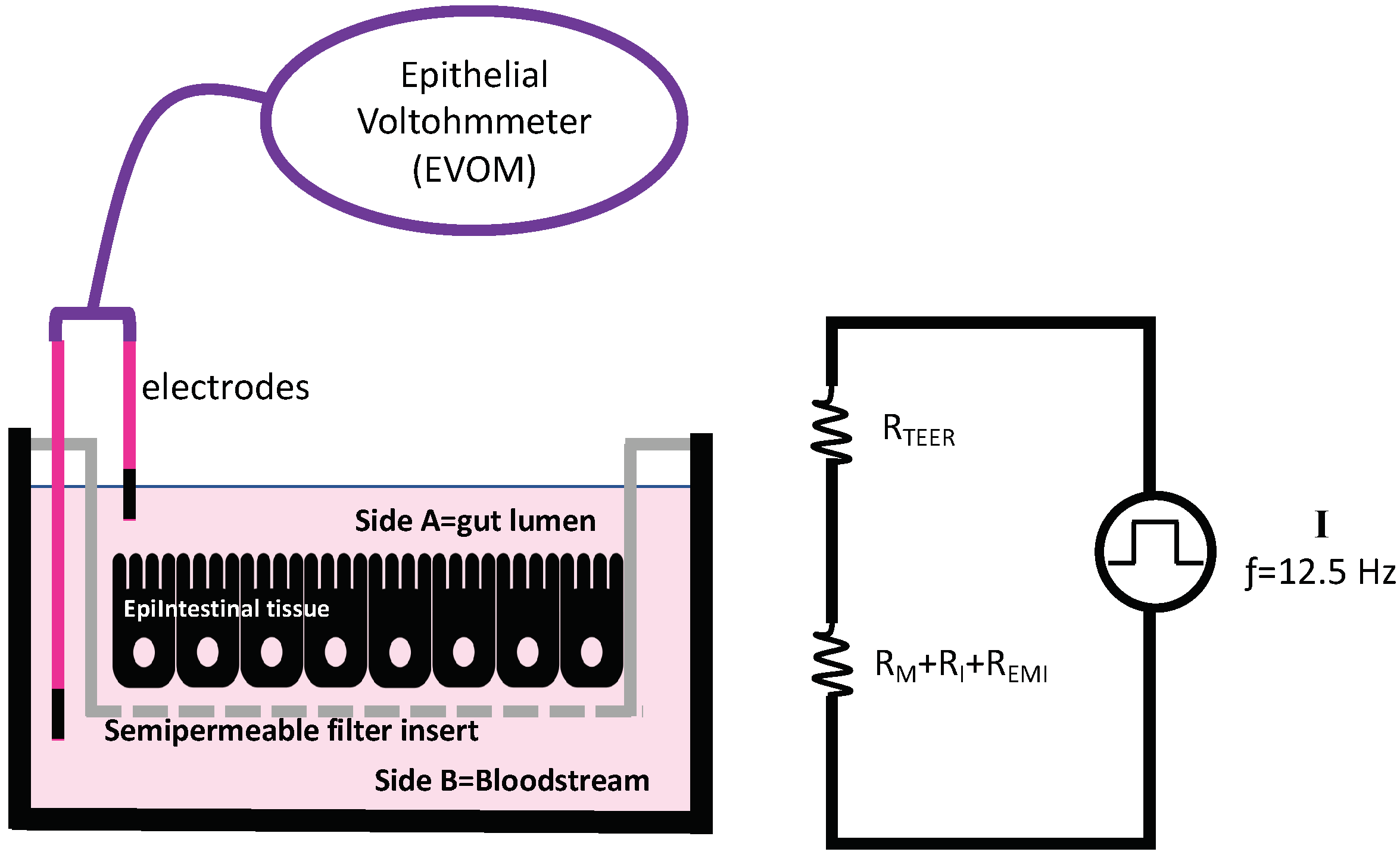 Ijerph 19 09362 g003 550