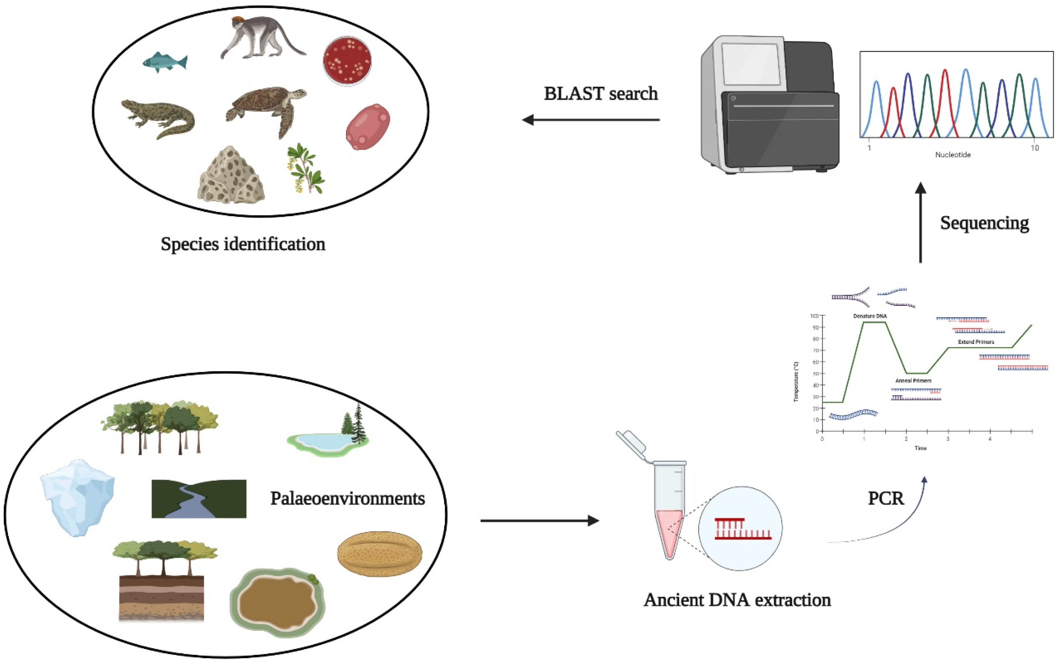 Ijerph 19 09445 g004
