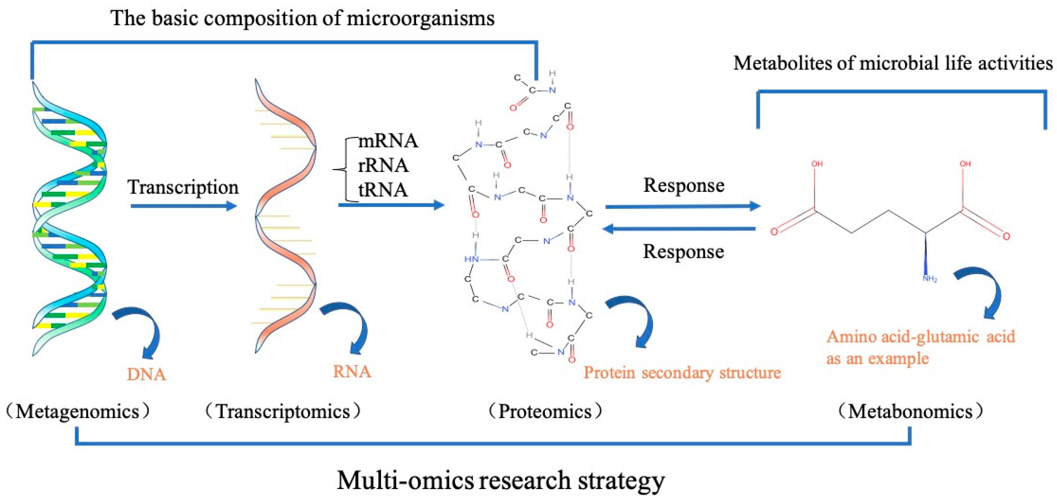 Ijerph 19 09519 g003