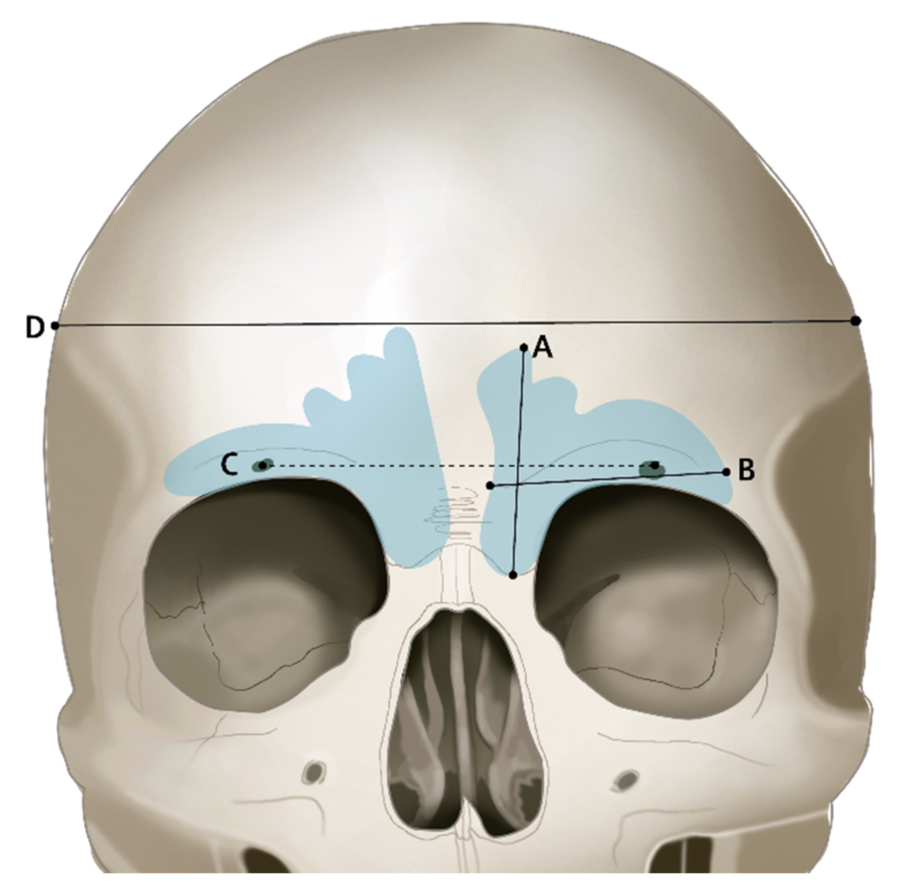Ijerph 19 09605 g003 Ijerph 19 09605 g003