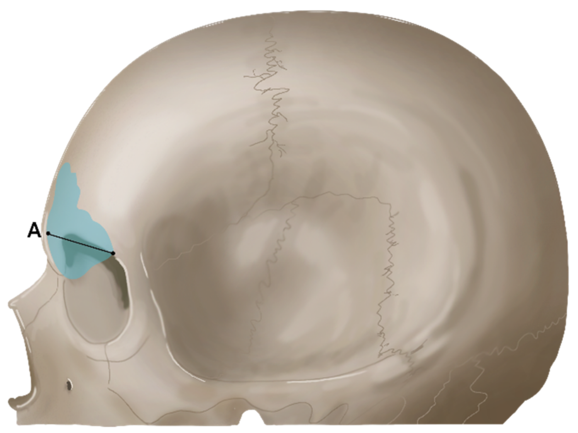 Ijerph 19 09605 g004 Ijerph 19 09605 g004