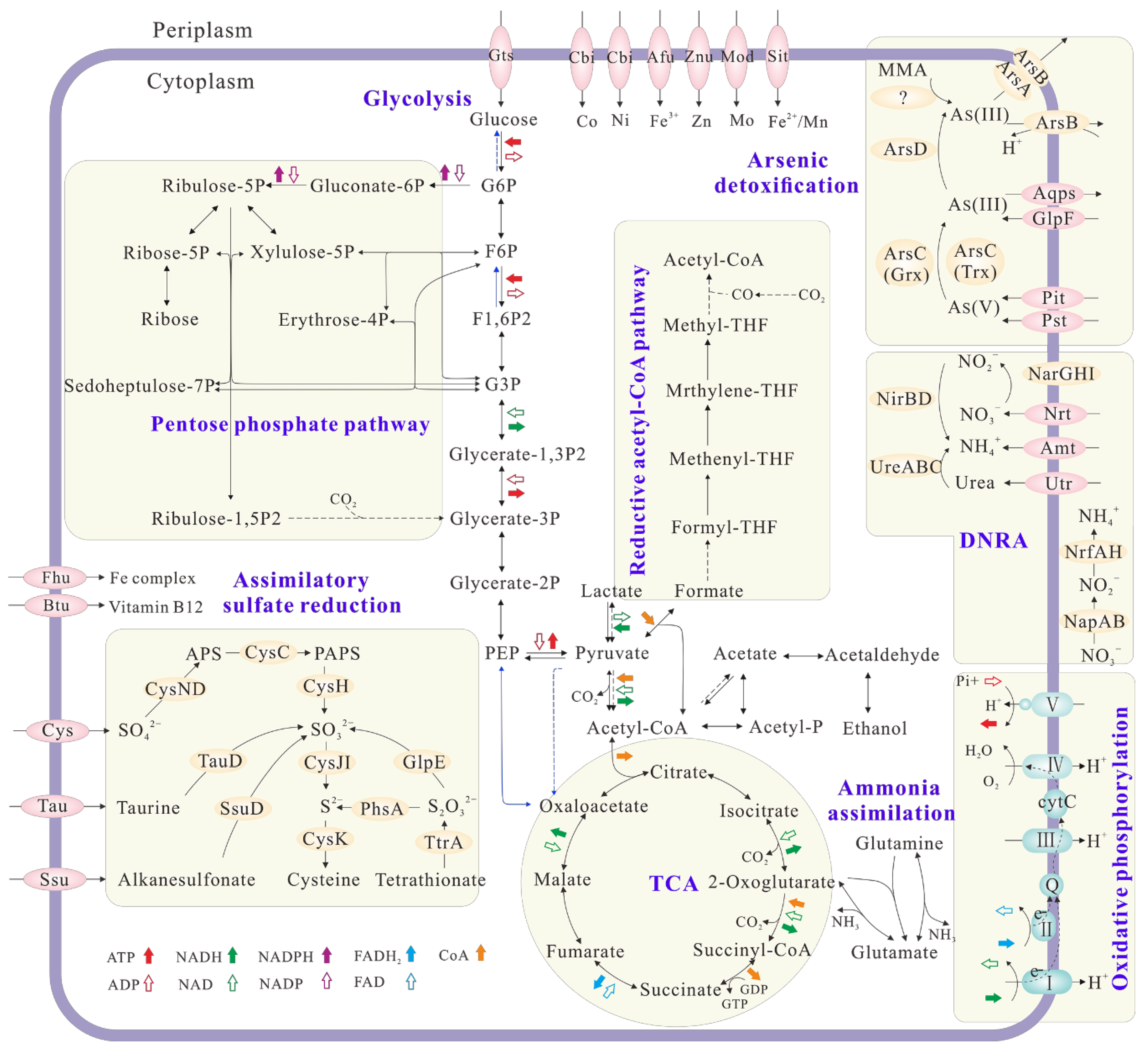 Ijerph 19 09606 g005