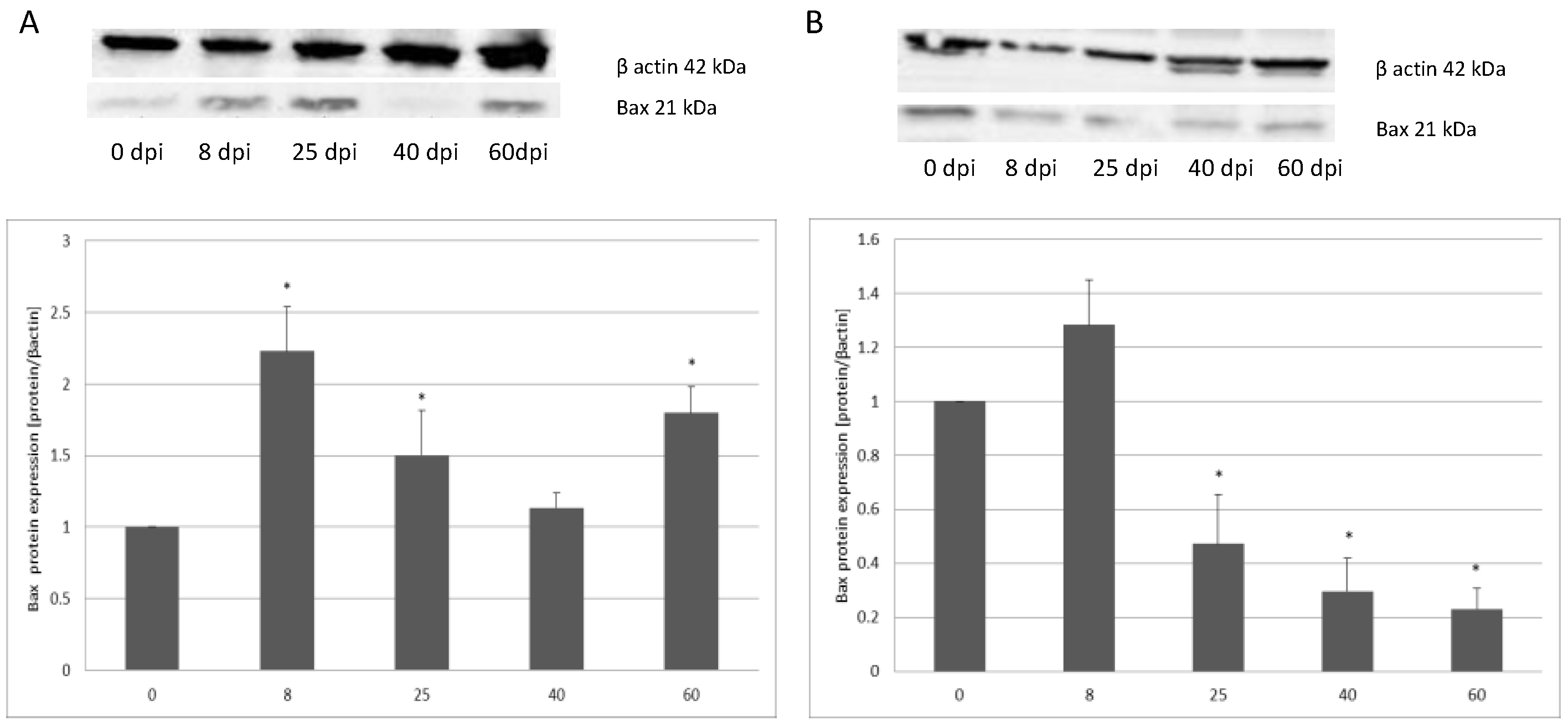 Ijerph 19 09753 g003