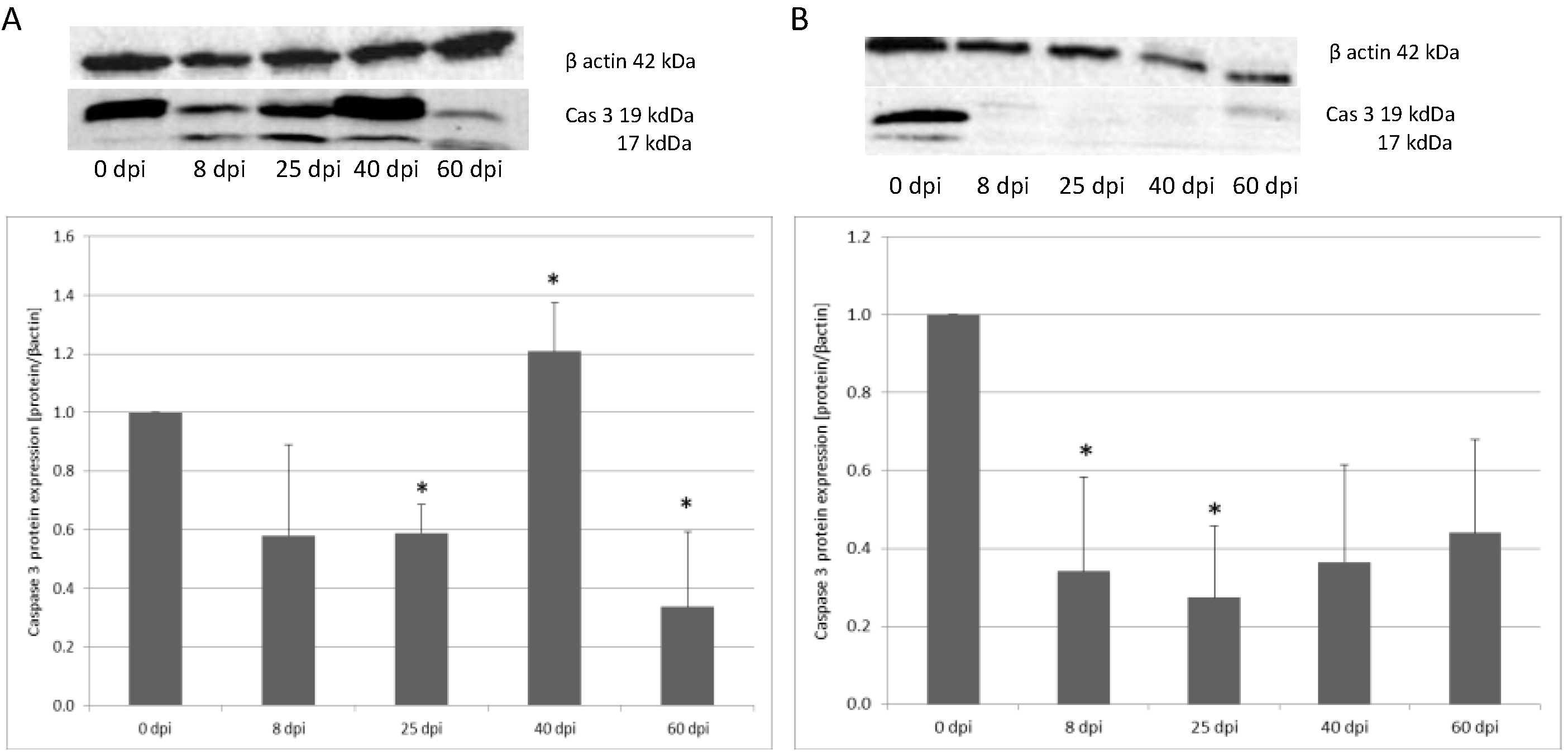 Ijerph 19 09753 g005