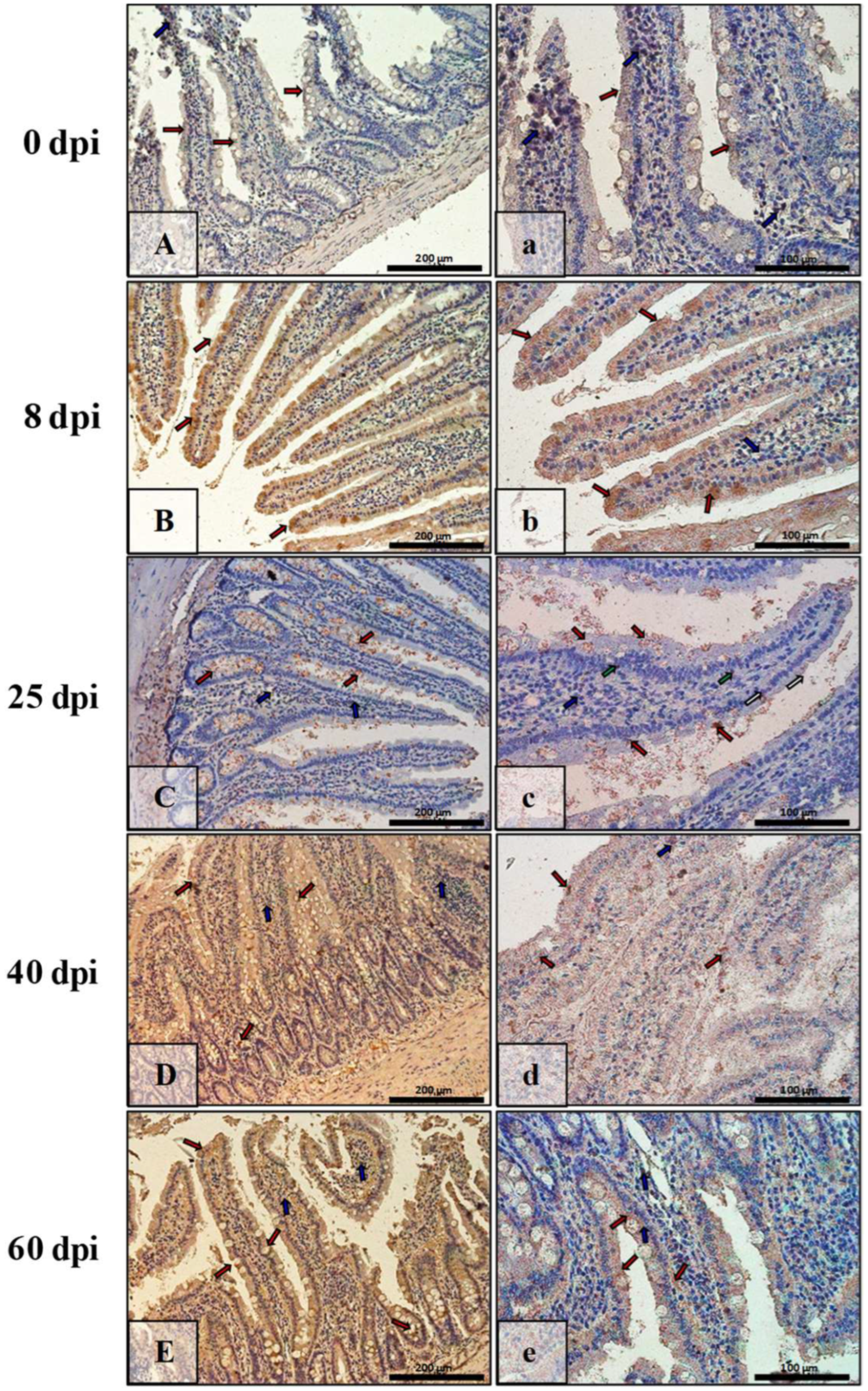 Ijerph 19 09753 g007