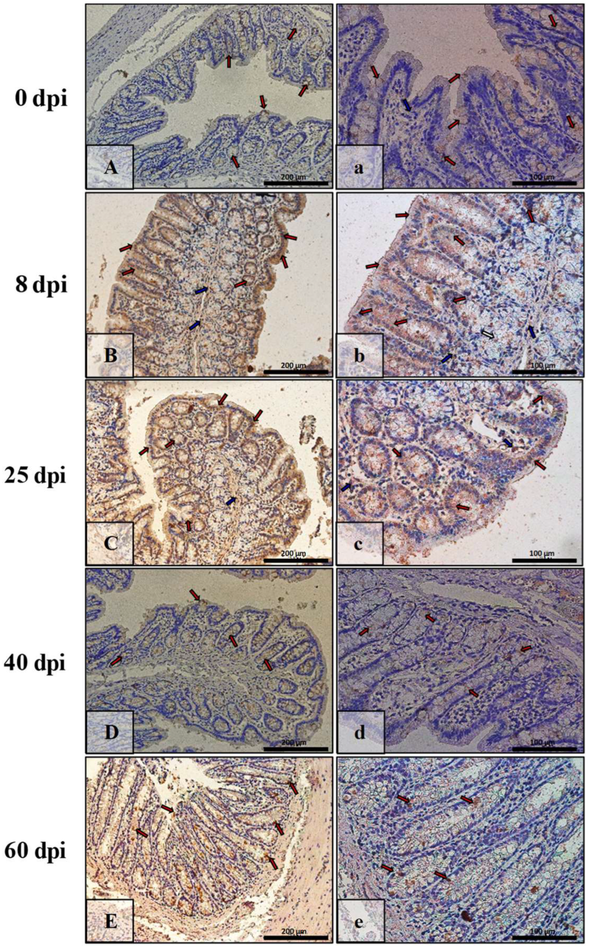 Ijerph 19 09753 g008