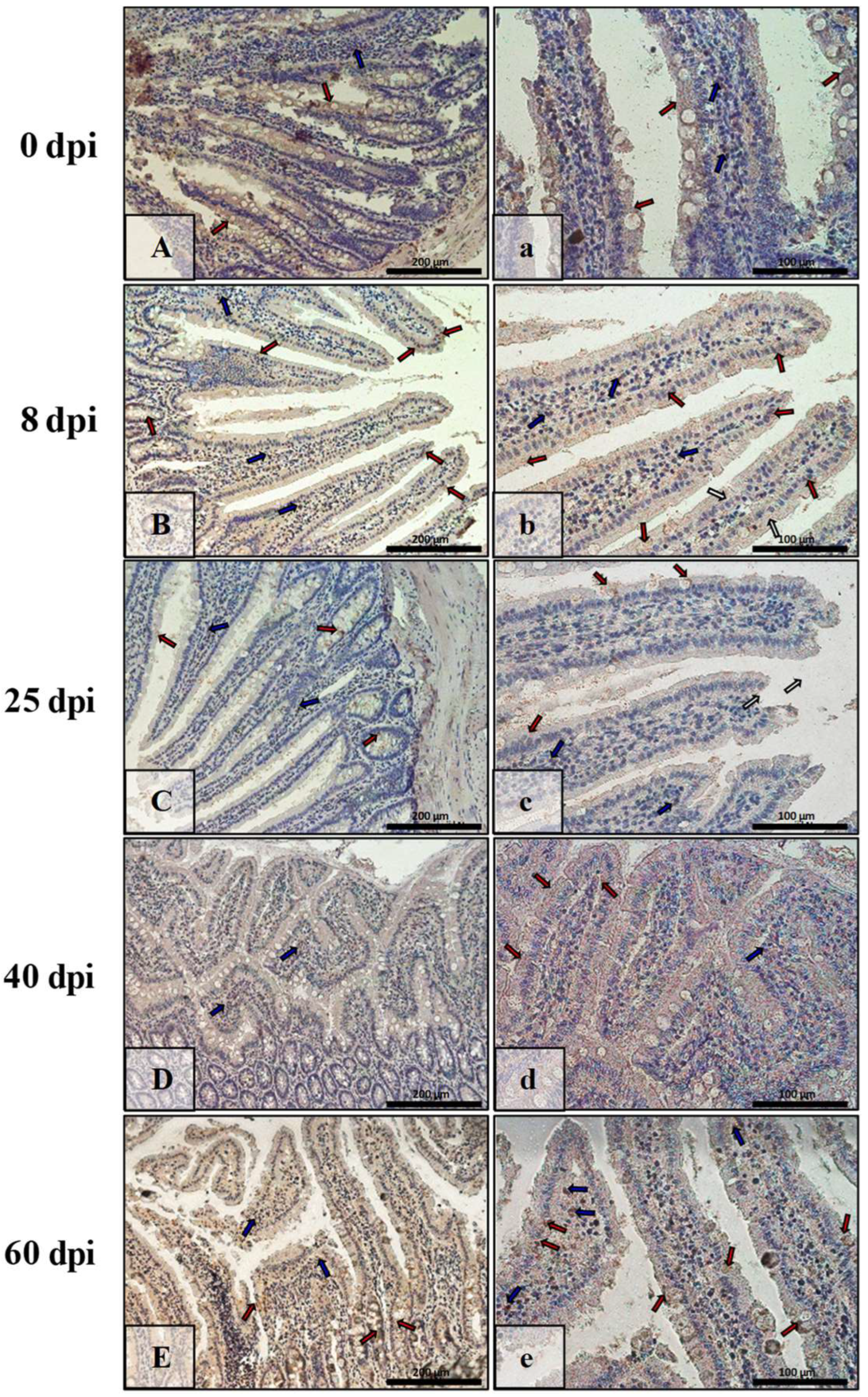 Ijerph 19 09753 g009