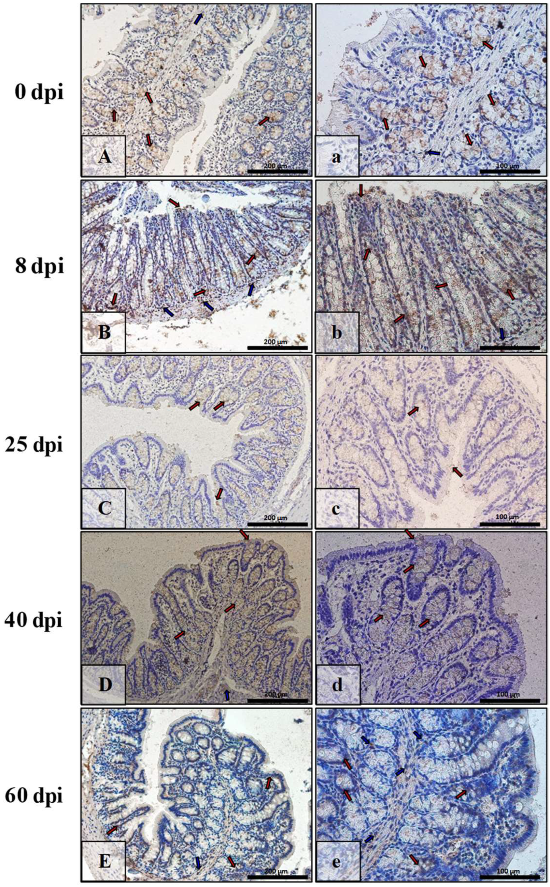 Ijerph 19 09753 g010