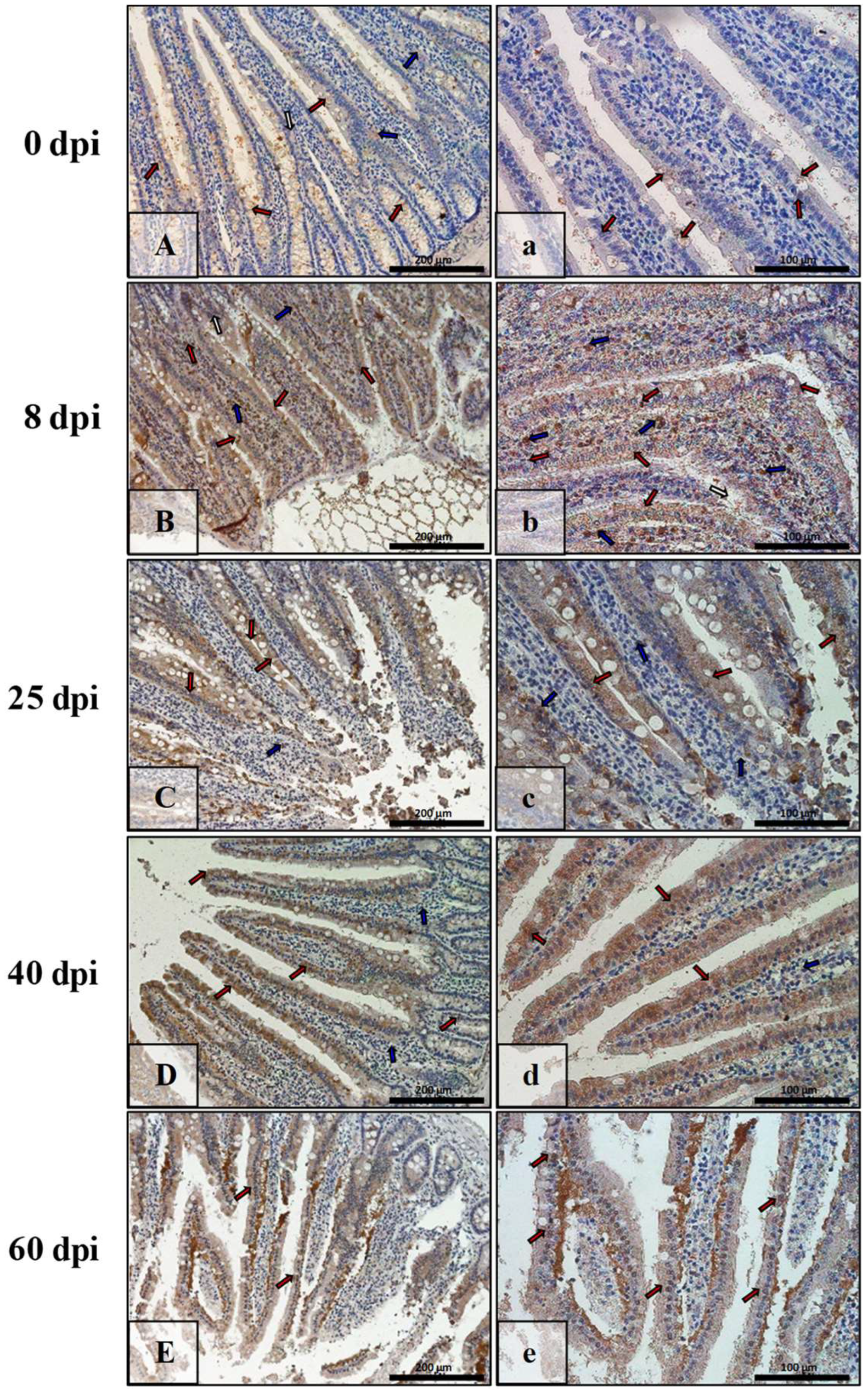 Ijerph 19 09753 g011