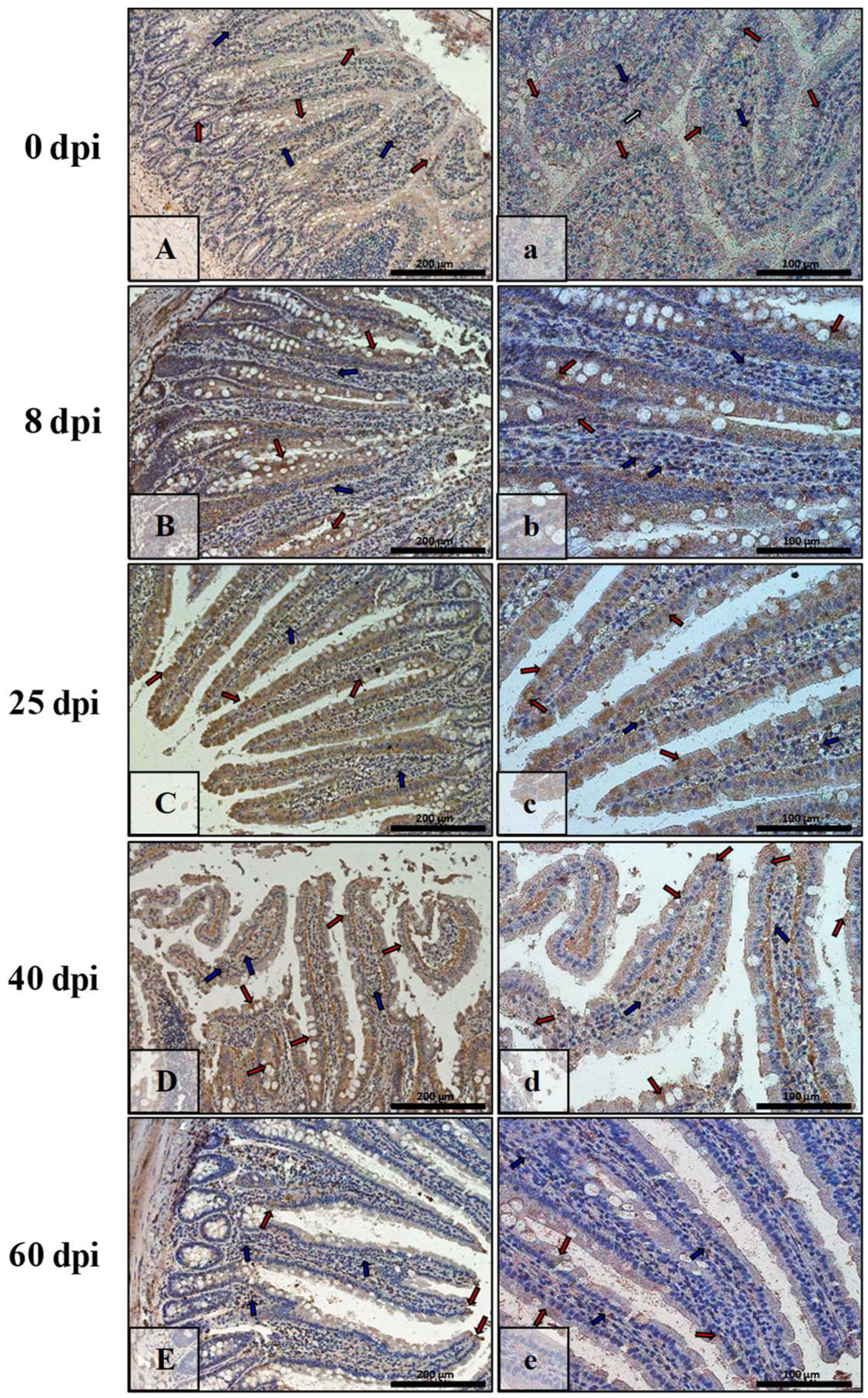 Ijerph 19 09753 g013