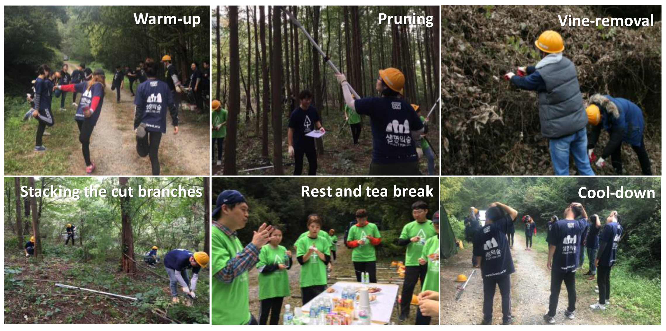 Ijerph 19 09768 g002 550