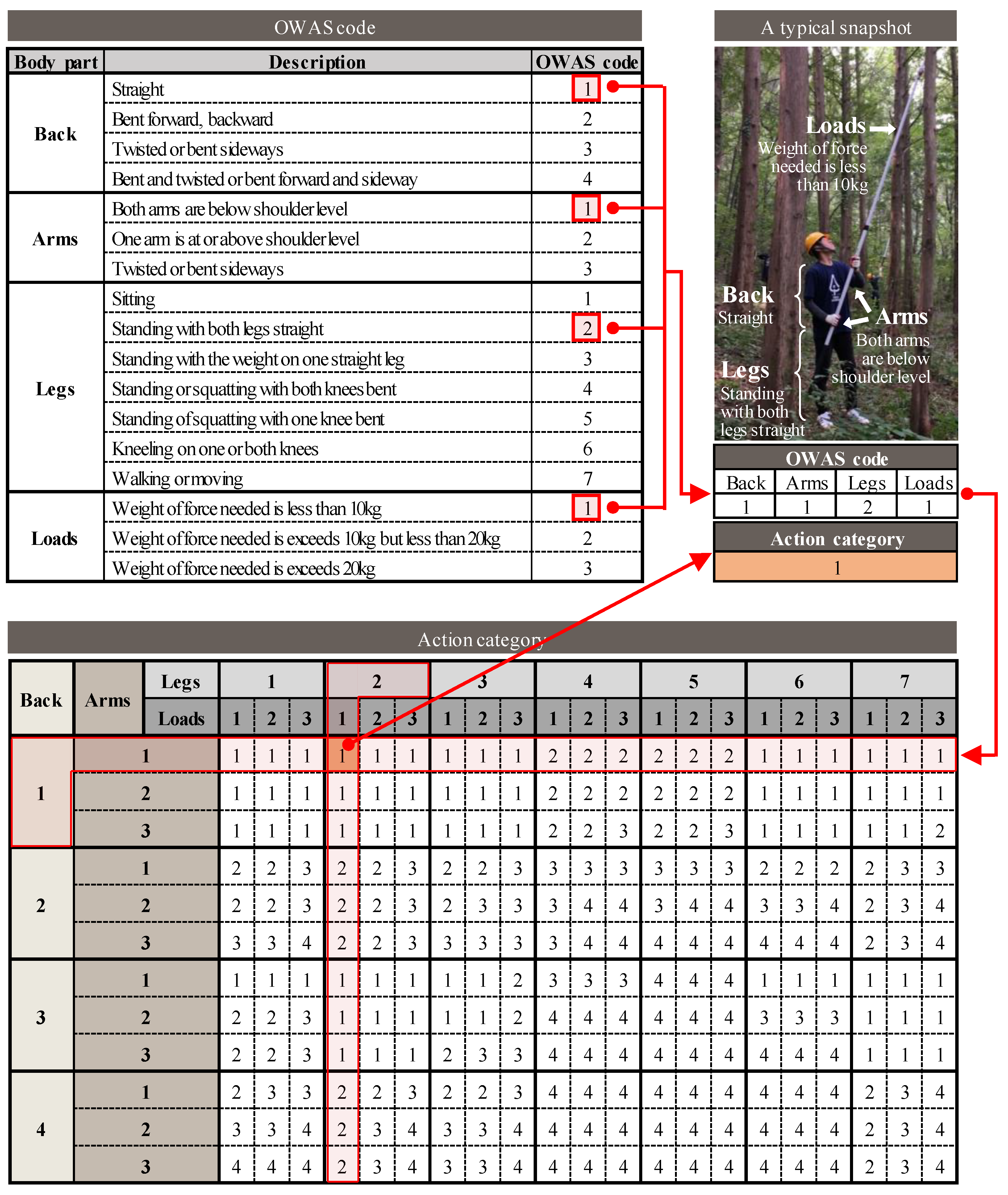 Ijerph 19 09768 g004 550