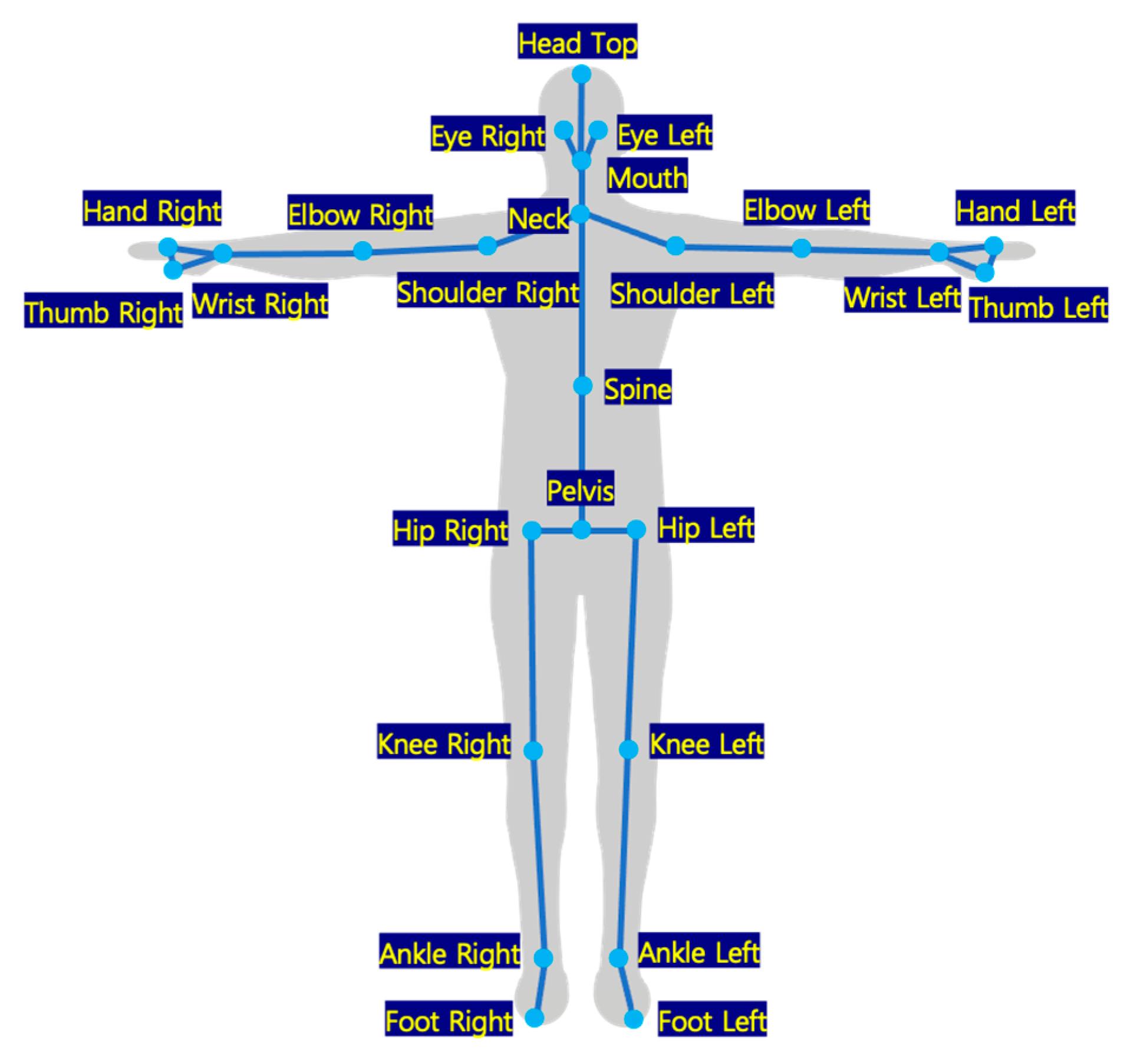 Ijerph 19 09803 g005