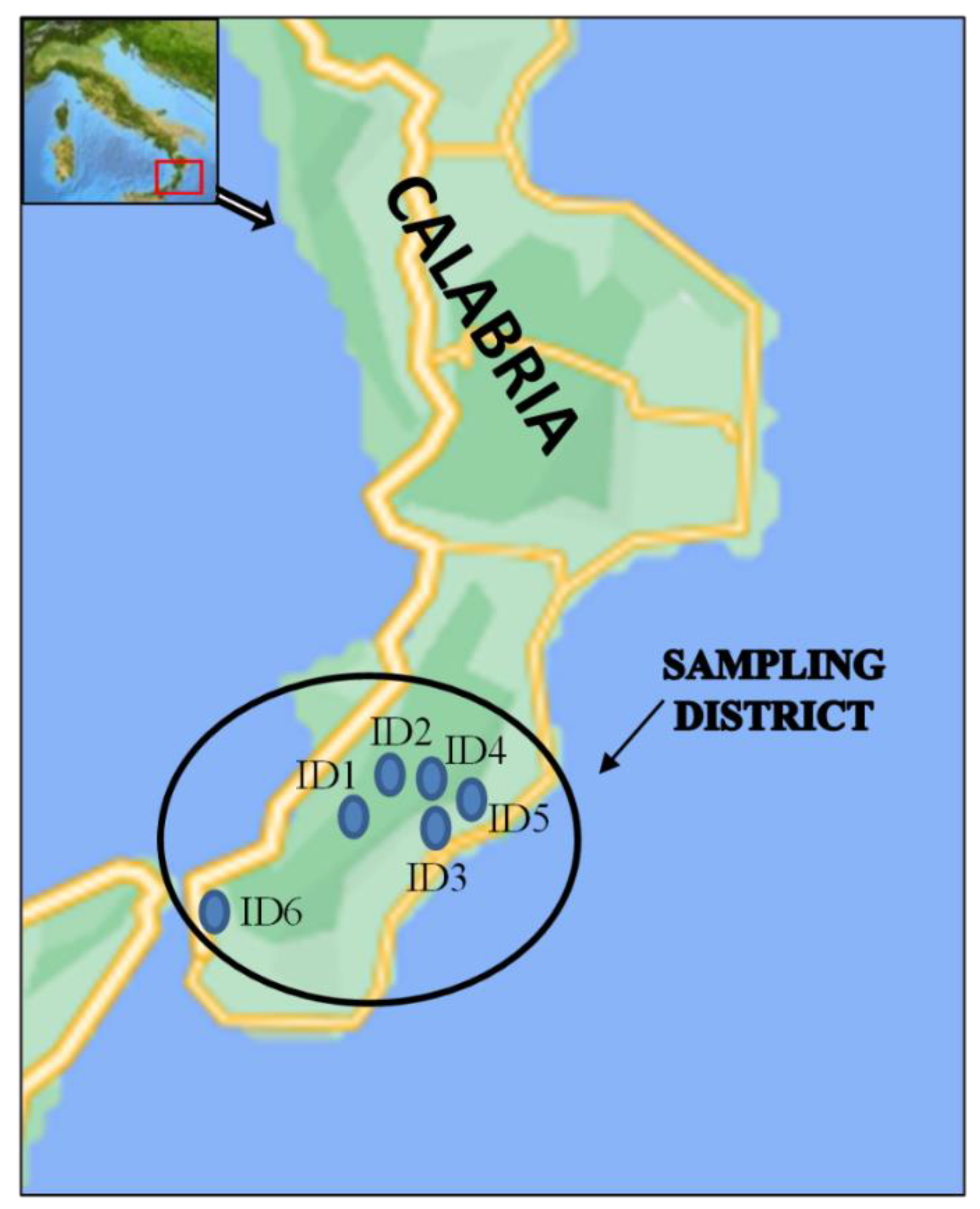 Ijerph 19 09829 g001 550