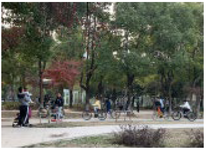 Ijerph 19 09860 i008