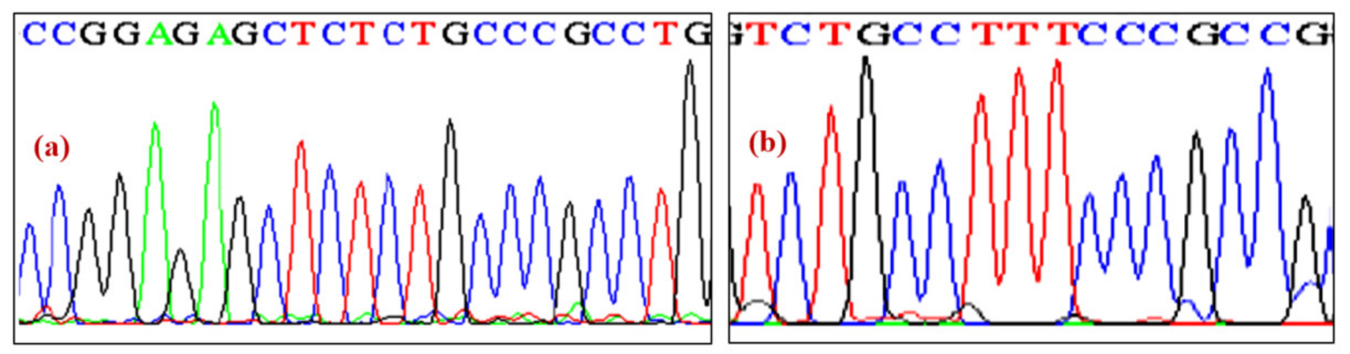 Ijerph 19 09884 g001 550