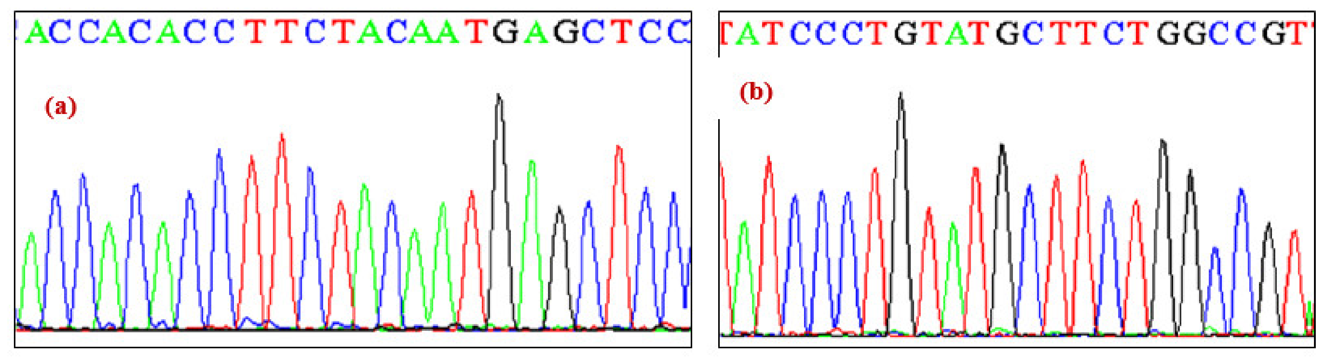 Ijerph 19 09884 g002 550