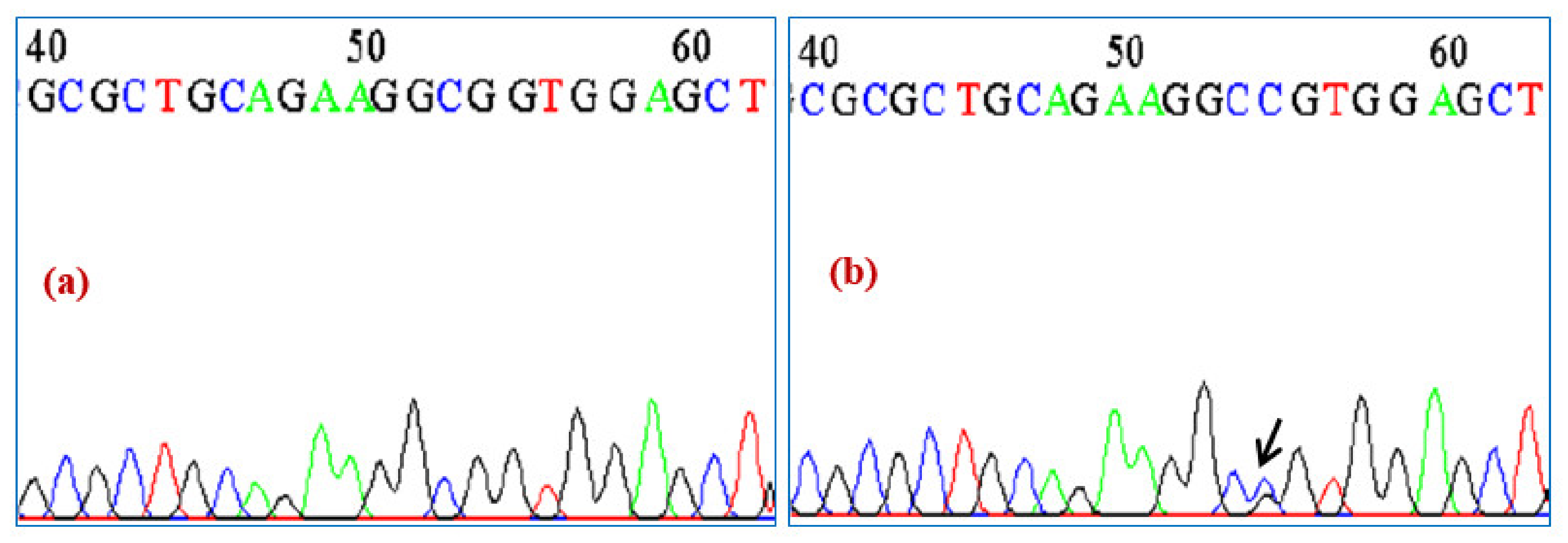 Ijerph 19 09884 g003 550