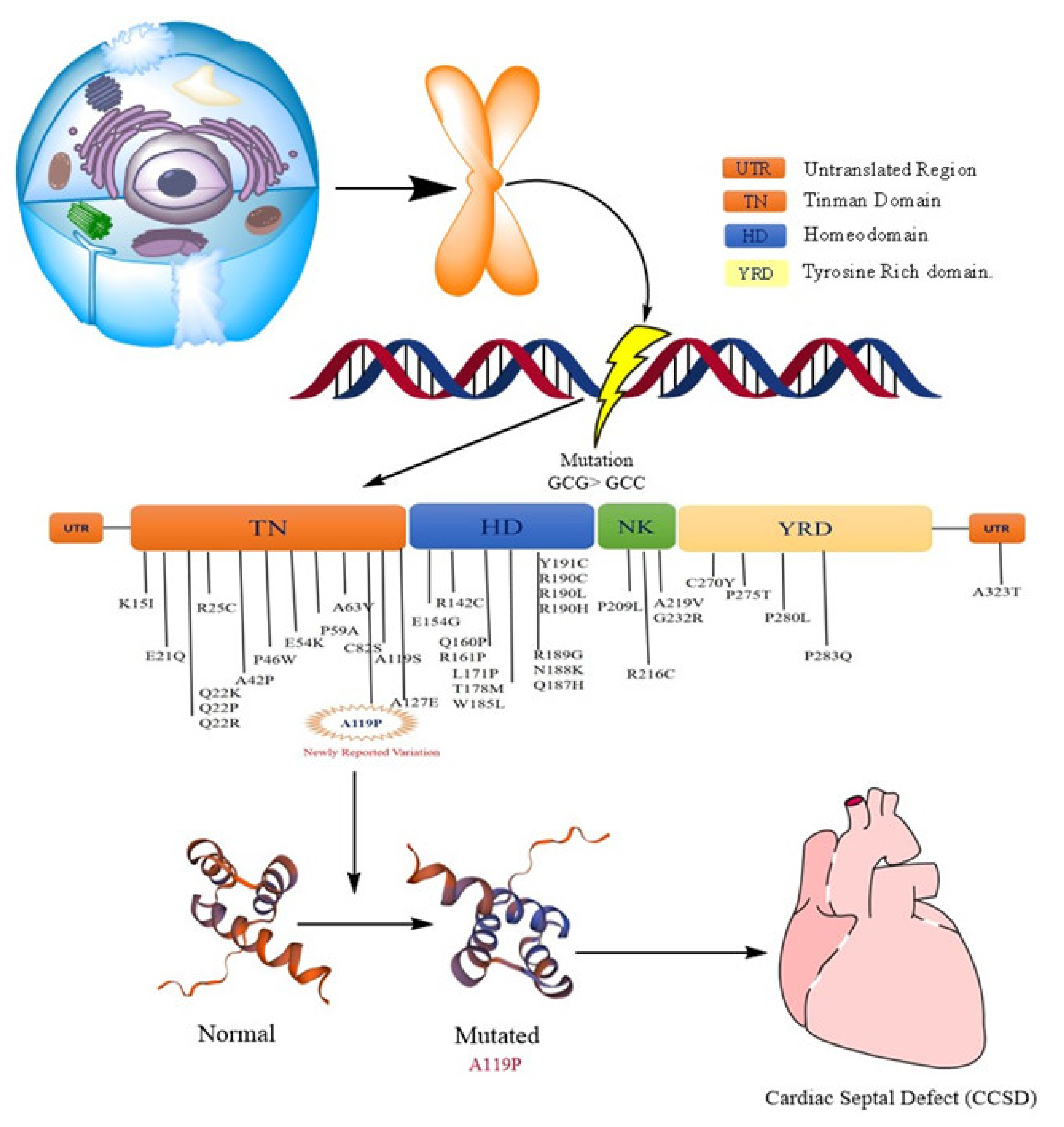 Ijerph 19 09884 g006 550