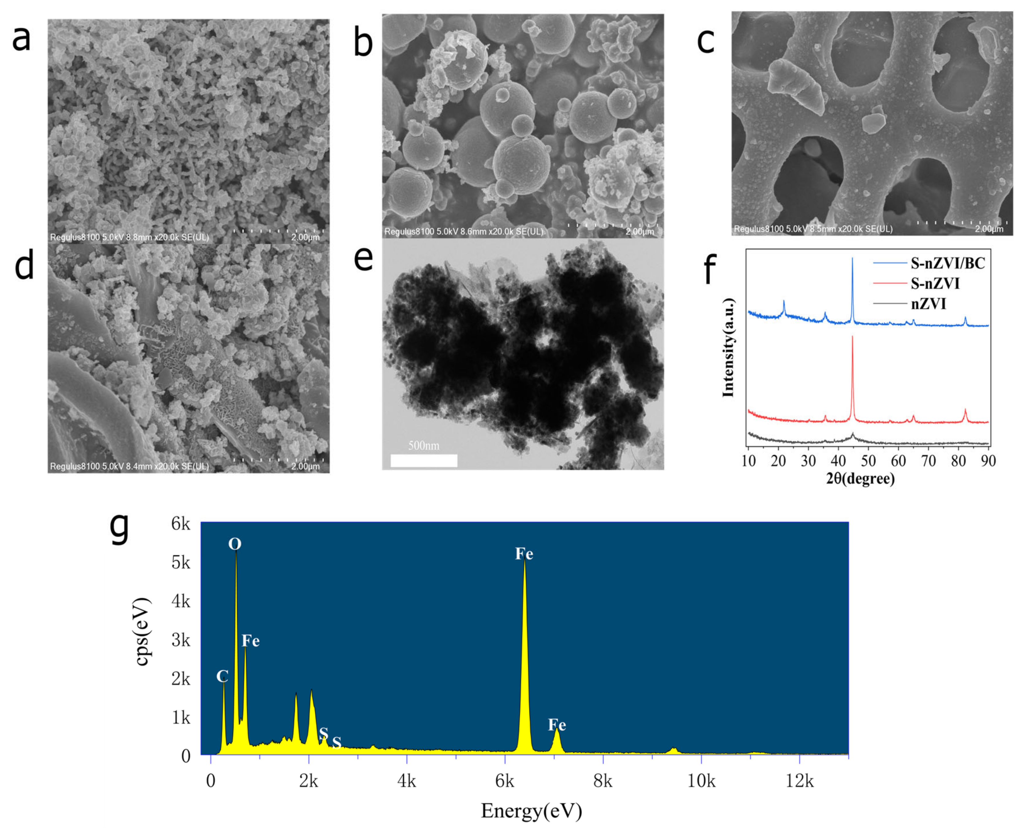 Ijerph 19 09923 g001 550