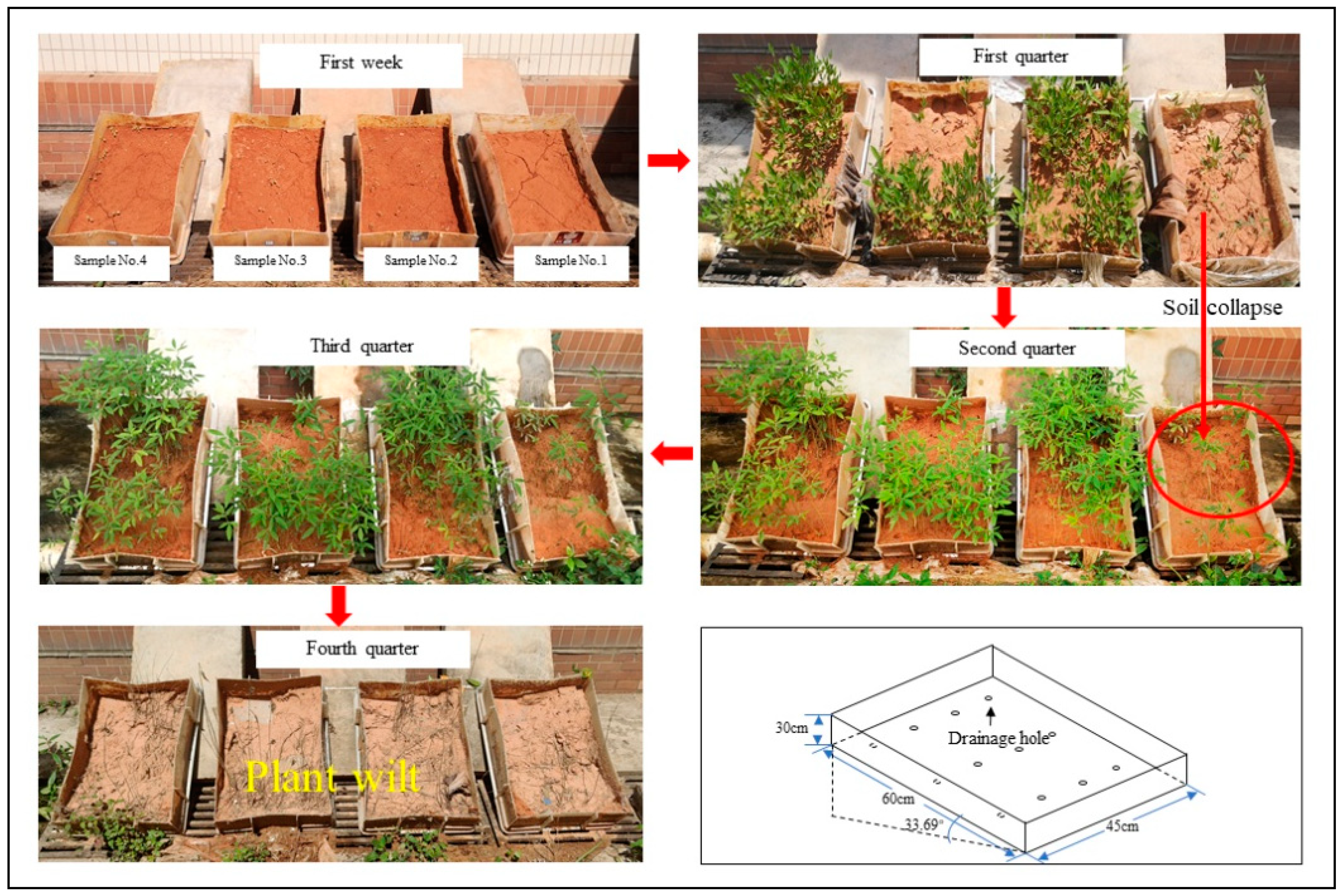 Ijerph 19 09933 g009 550