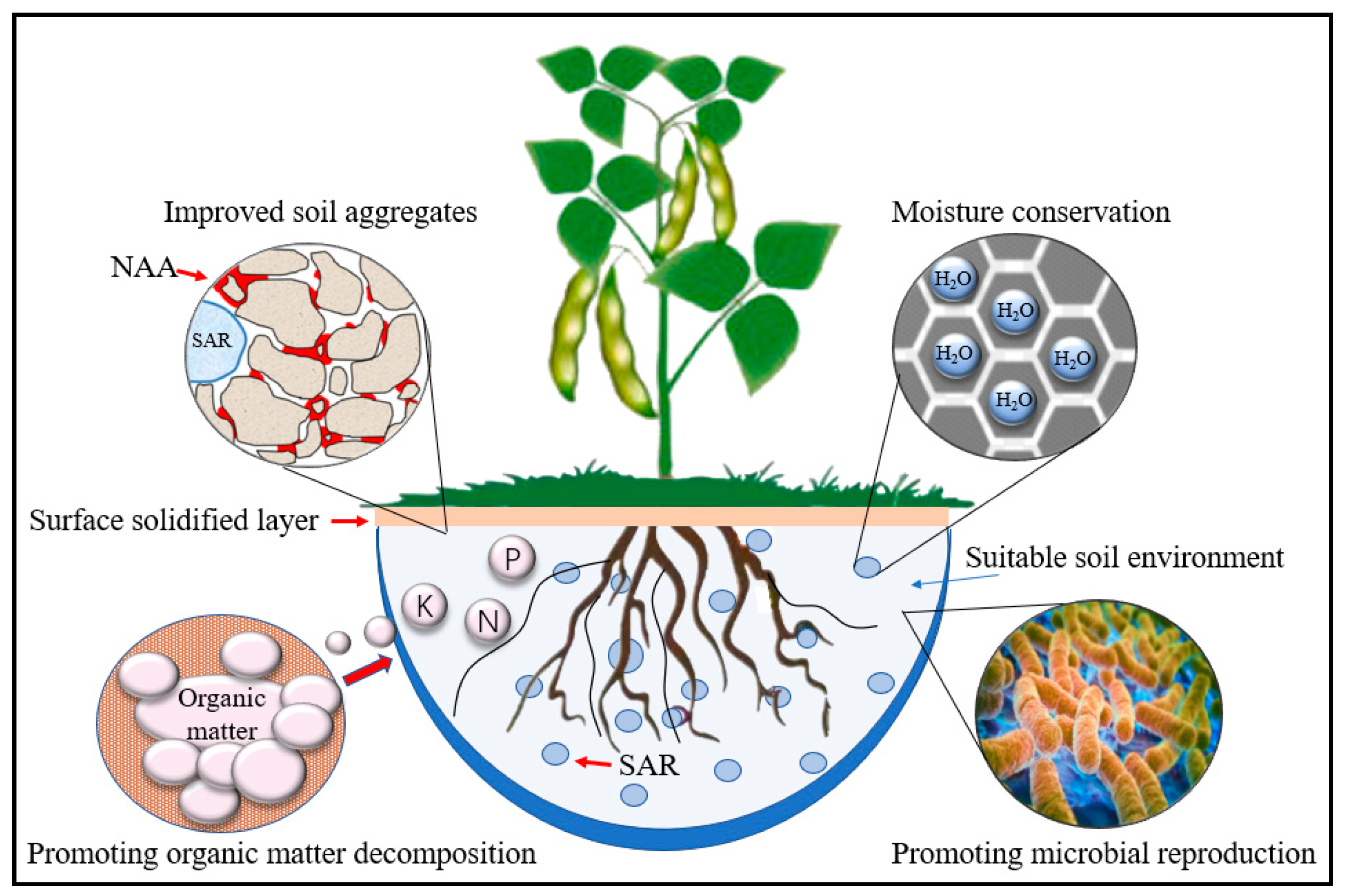 Ijerph 19 09933 g010 550