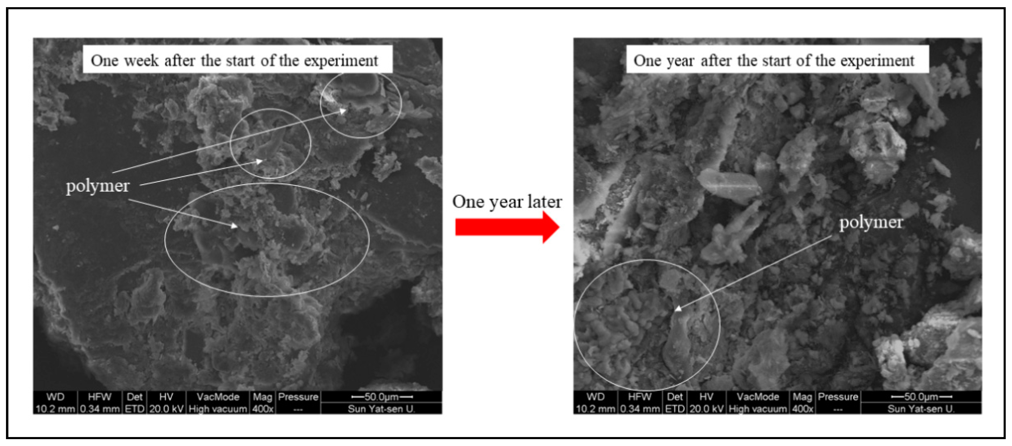 Ijerph 19 09933 g011 550