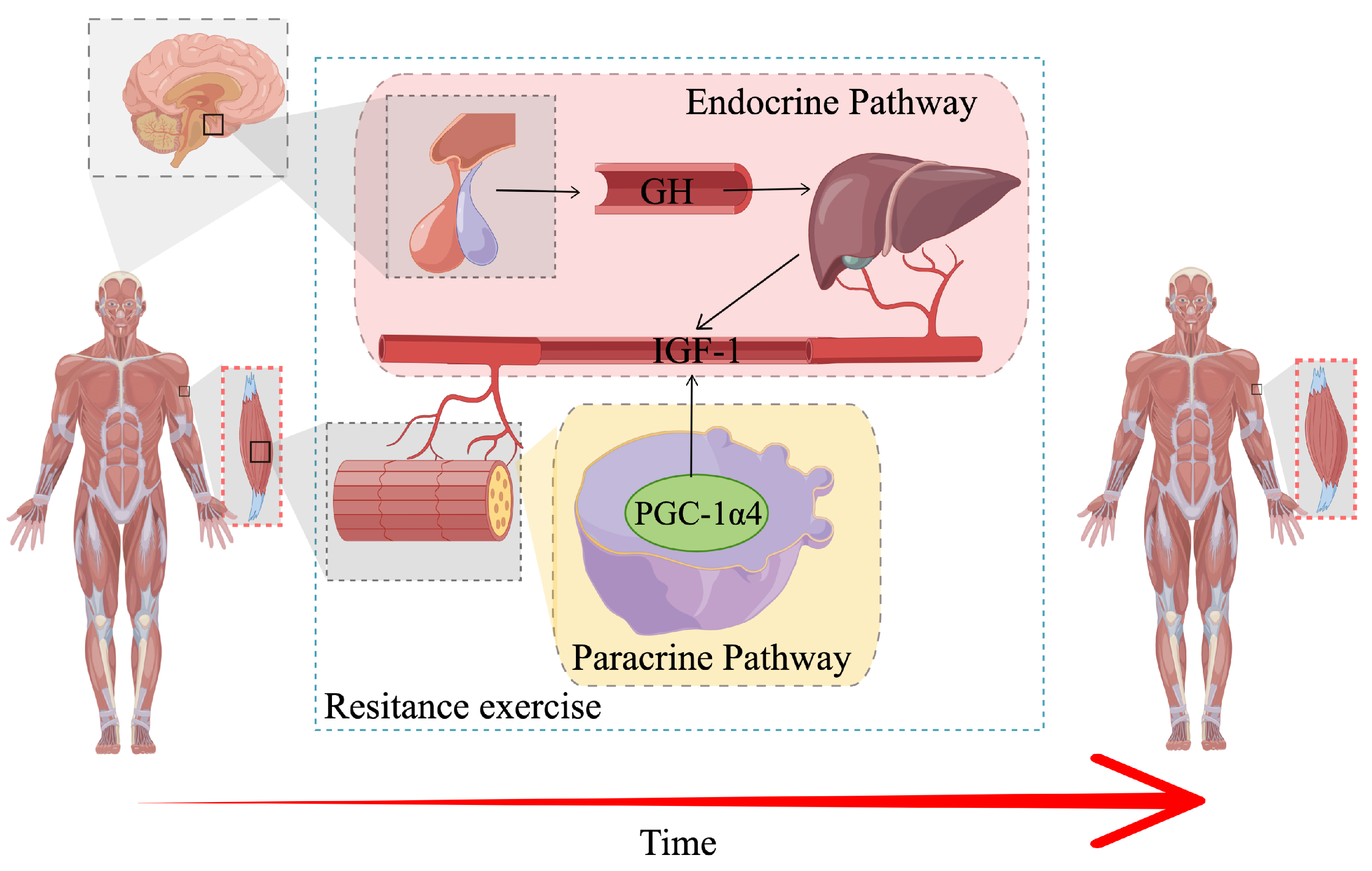 Ijerph 19 09952 g007