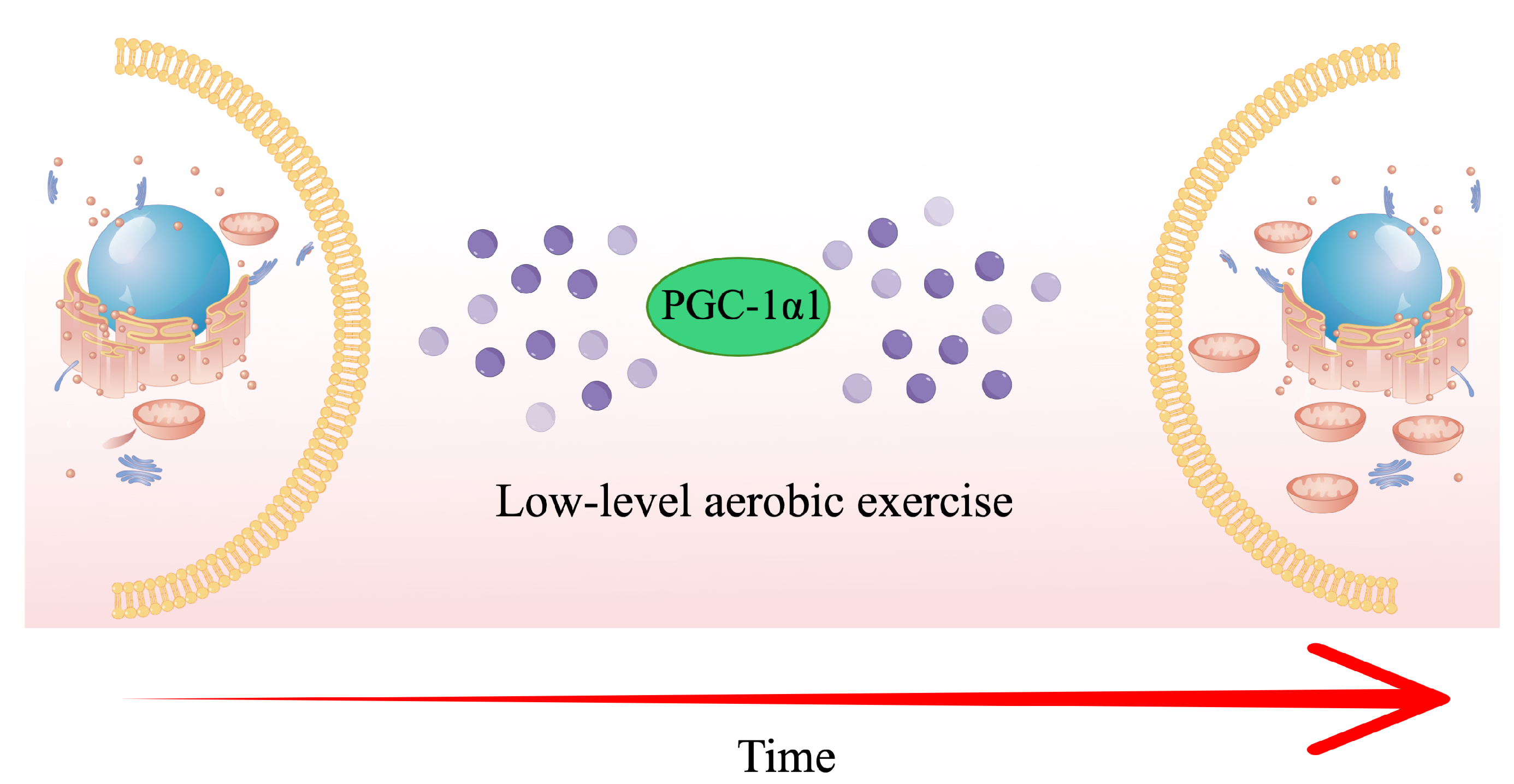 Ijerph 19 09952 g008