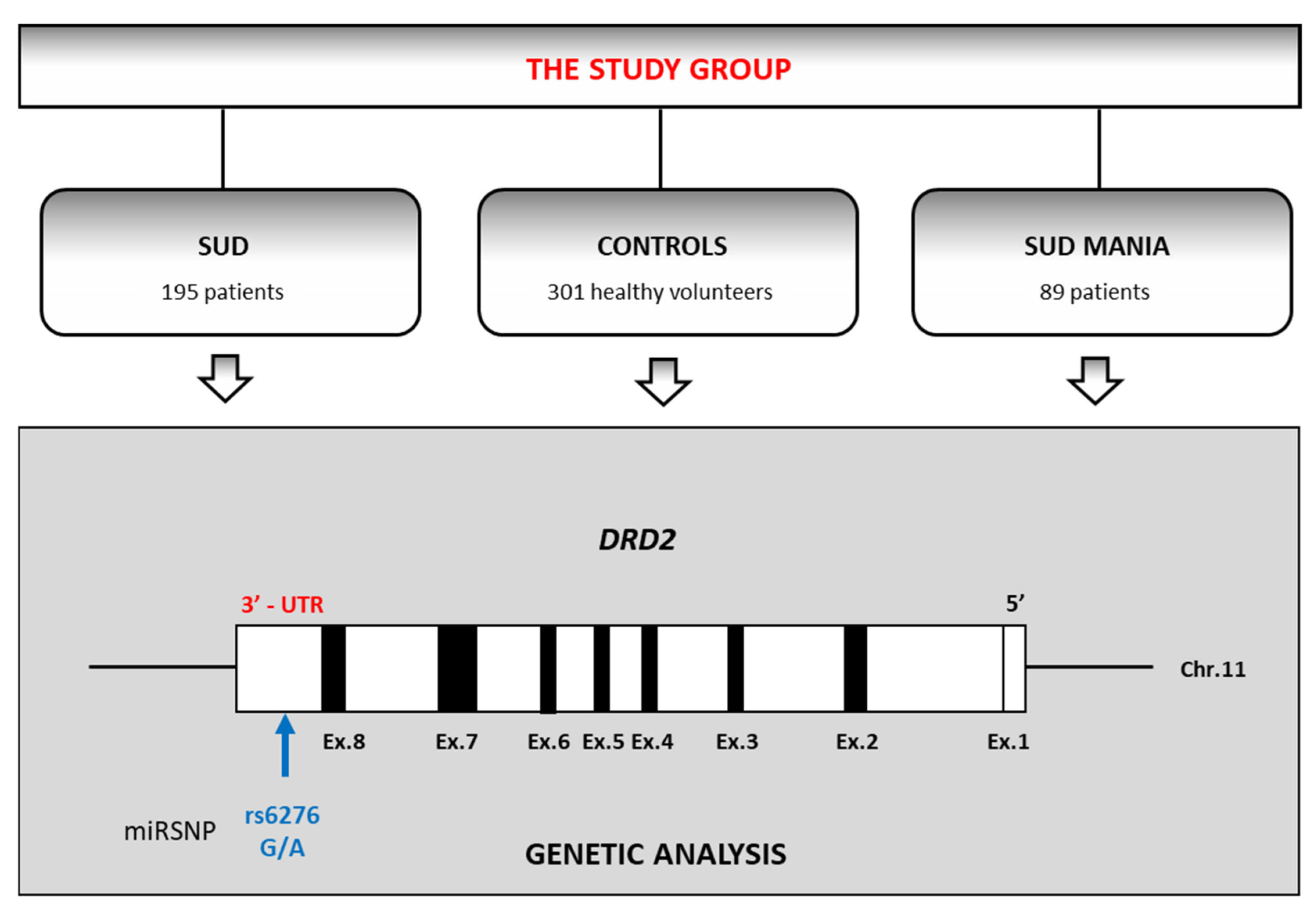 Ijerph 19 09955 g001