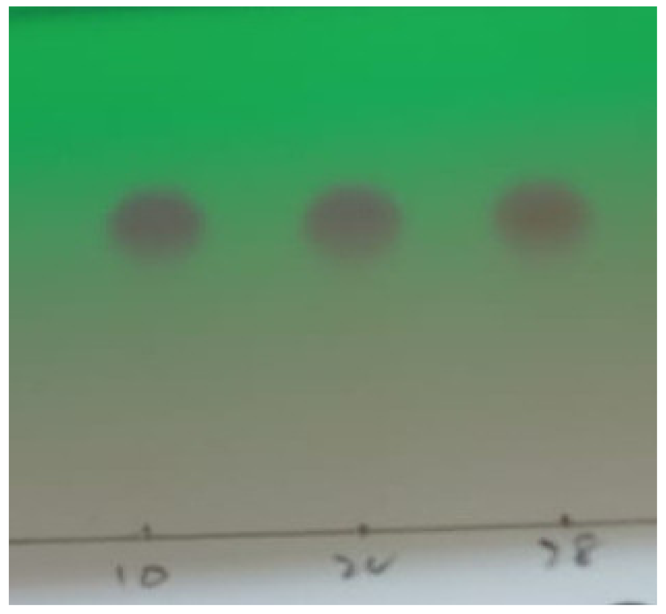 Ijerph 19 09962 g014 550