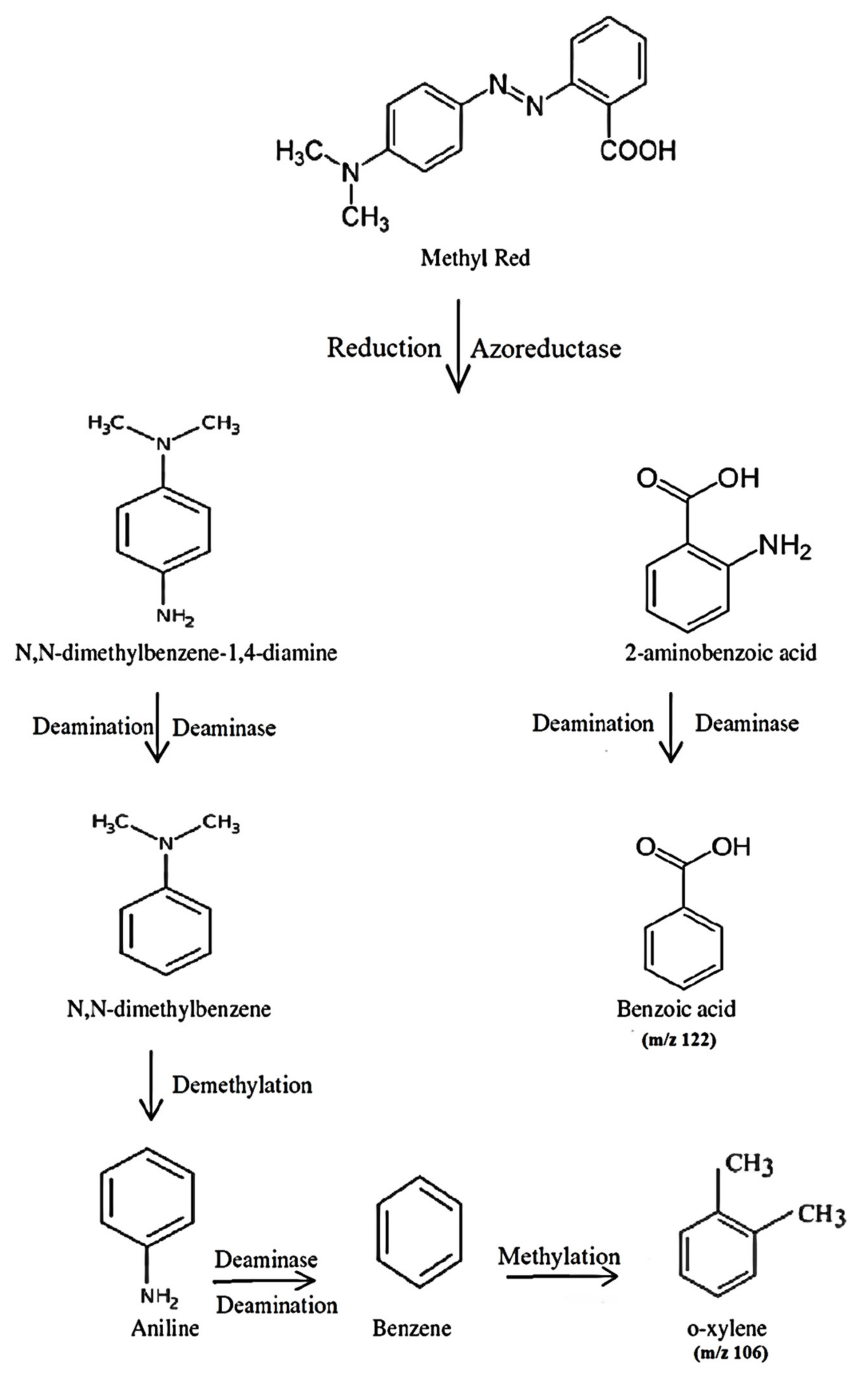 Ijerph 19 09962 g020 550