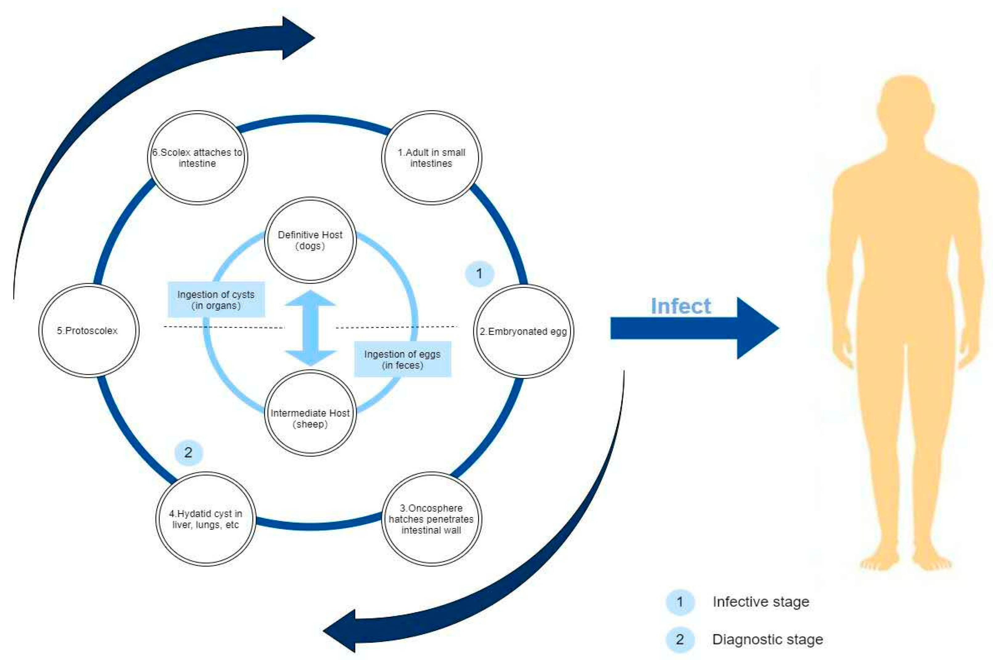 Ijerph 19 09990 g002 550