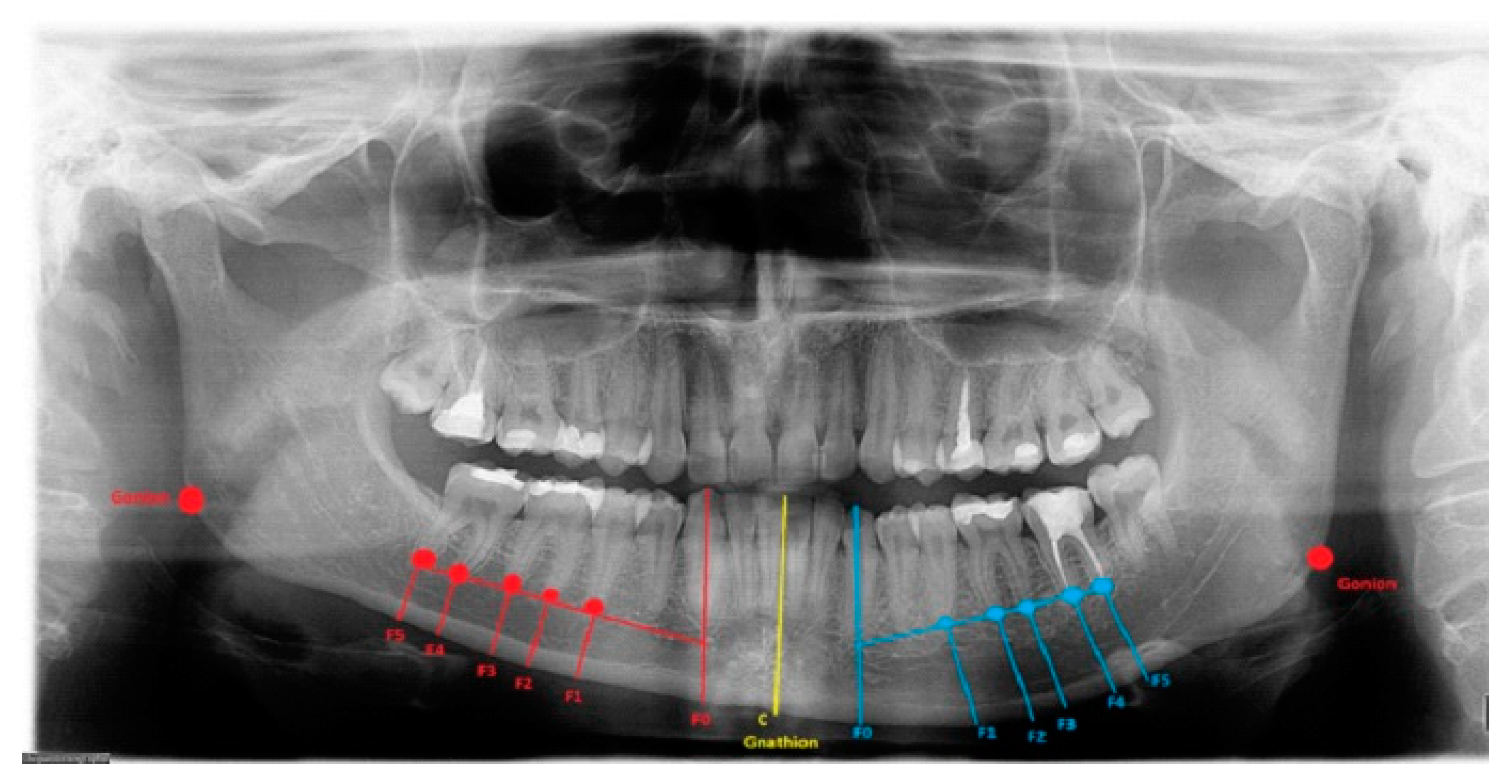Ijerph 19 10005 g001 550