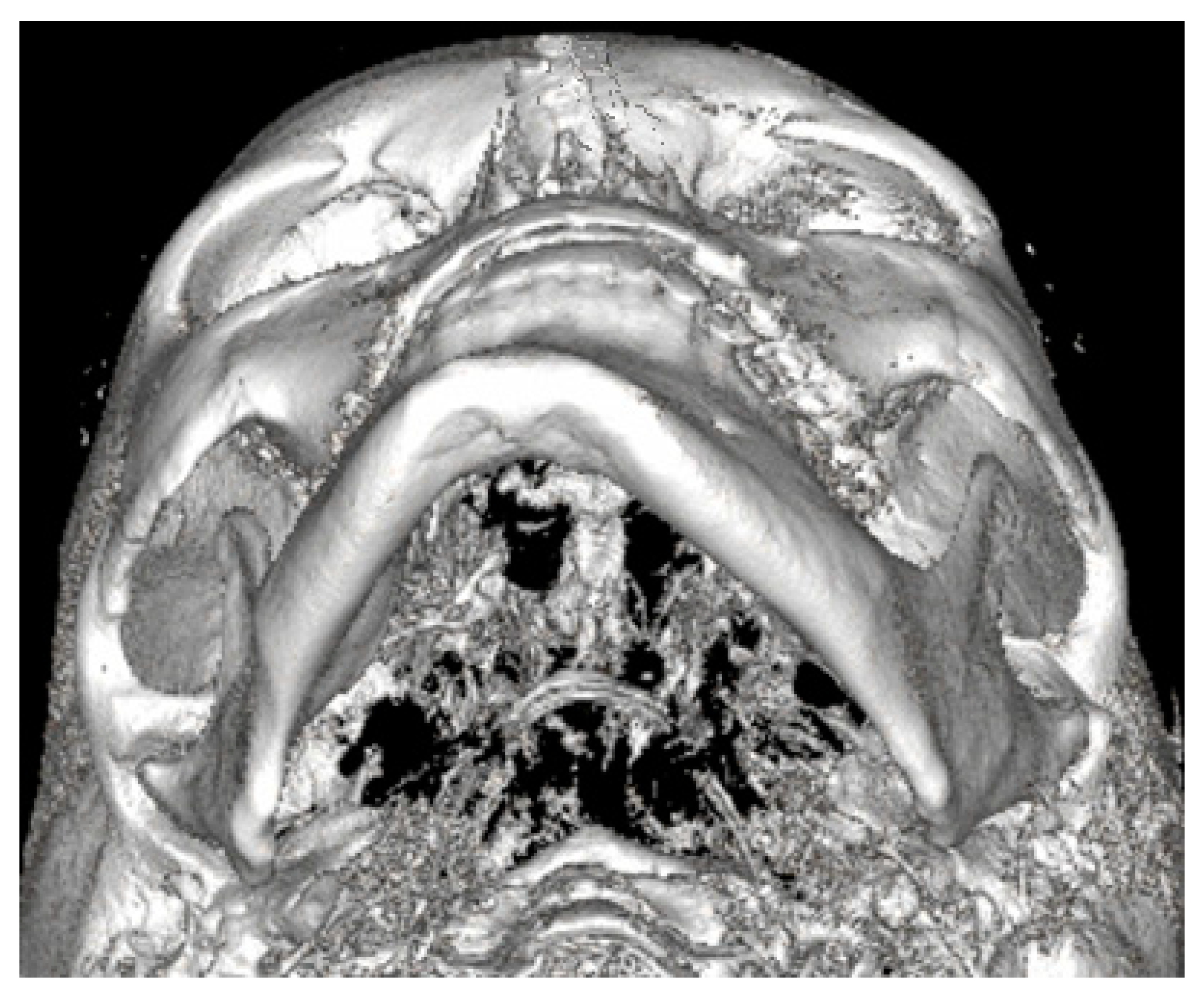 Ijerph 19 10005 g004 550
