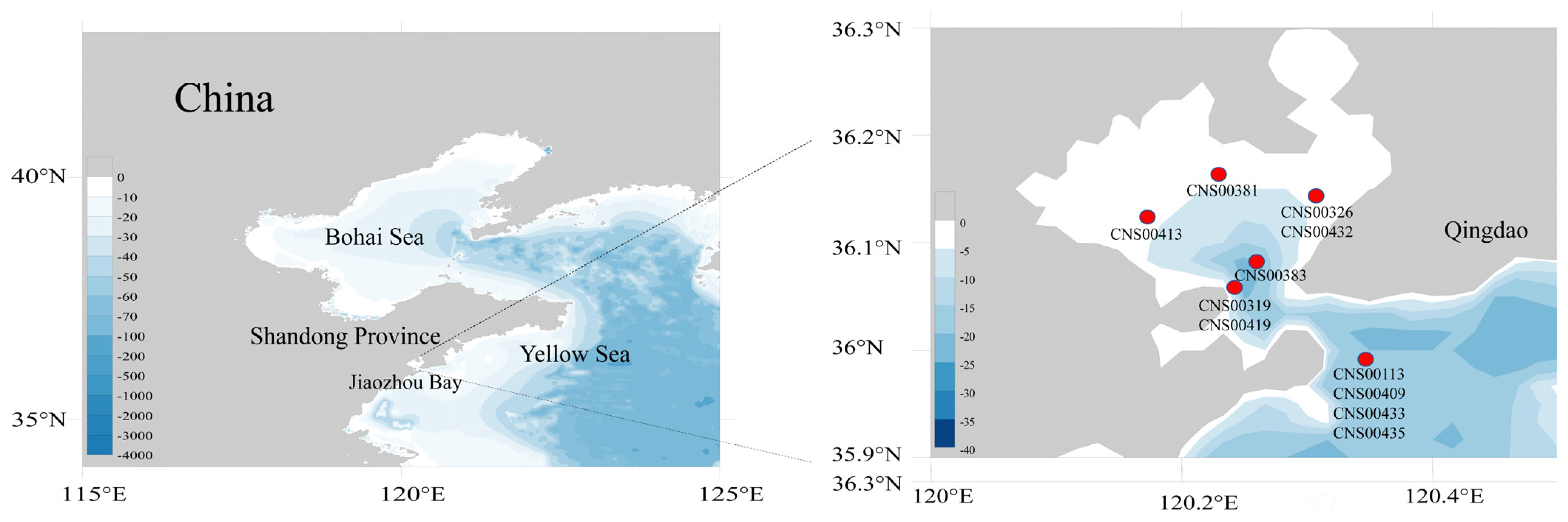 Ijerph 19 10024 g001 550