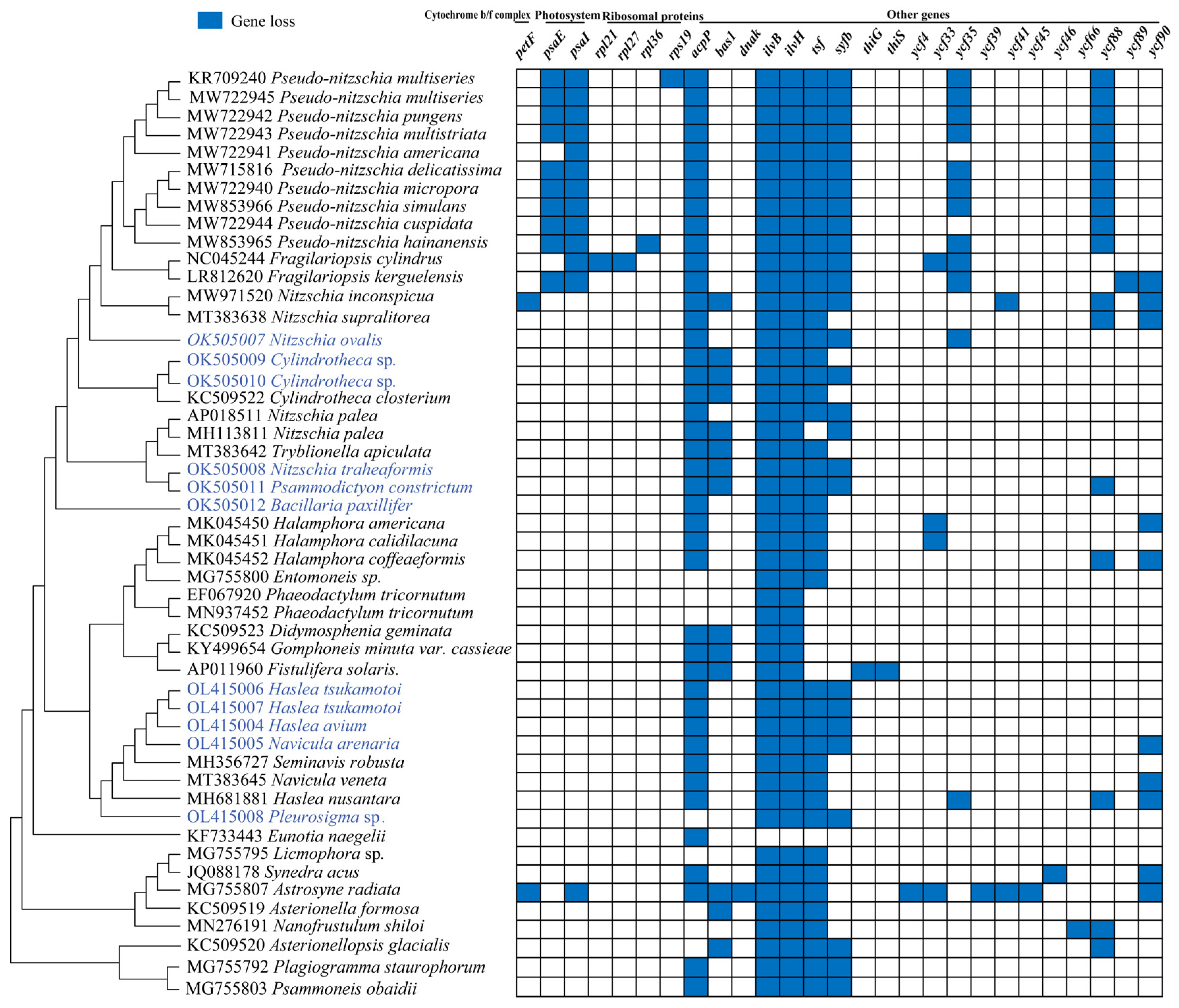 Ijerph 19 10024 g003 550