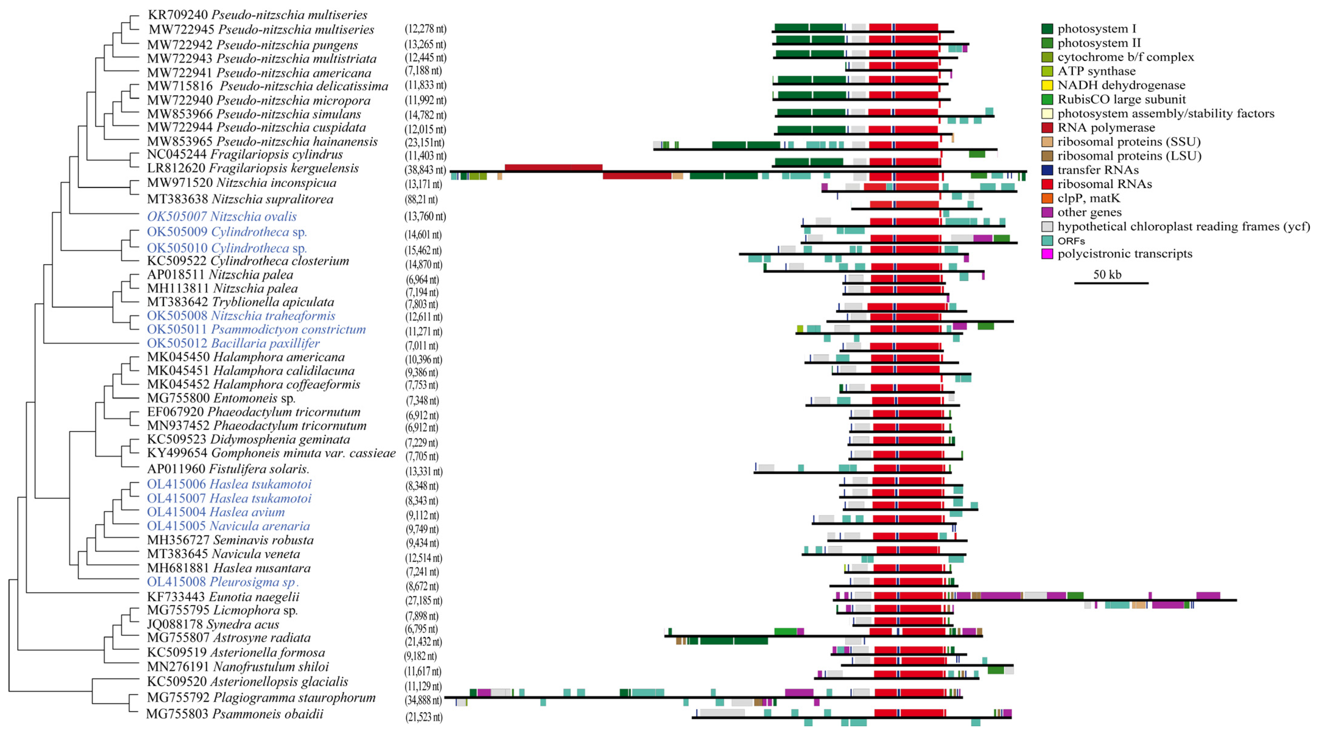 Ijerph 19 10024 g004 550