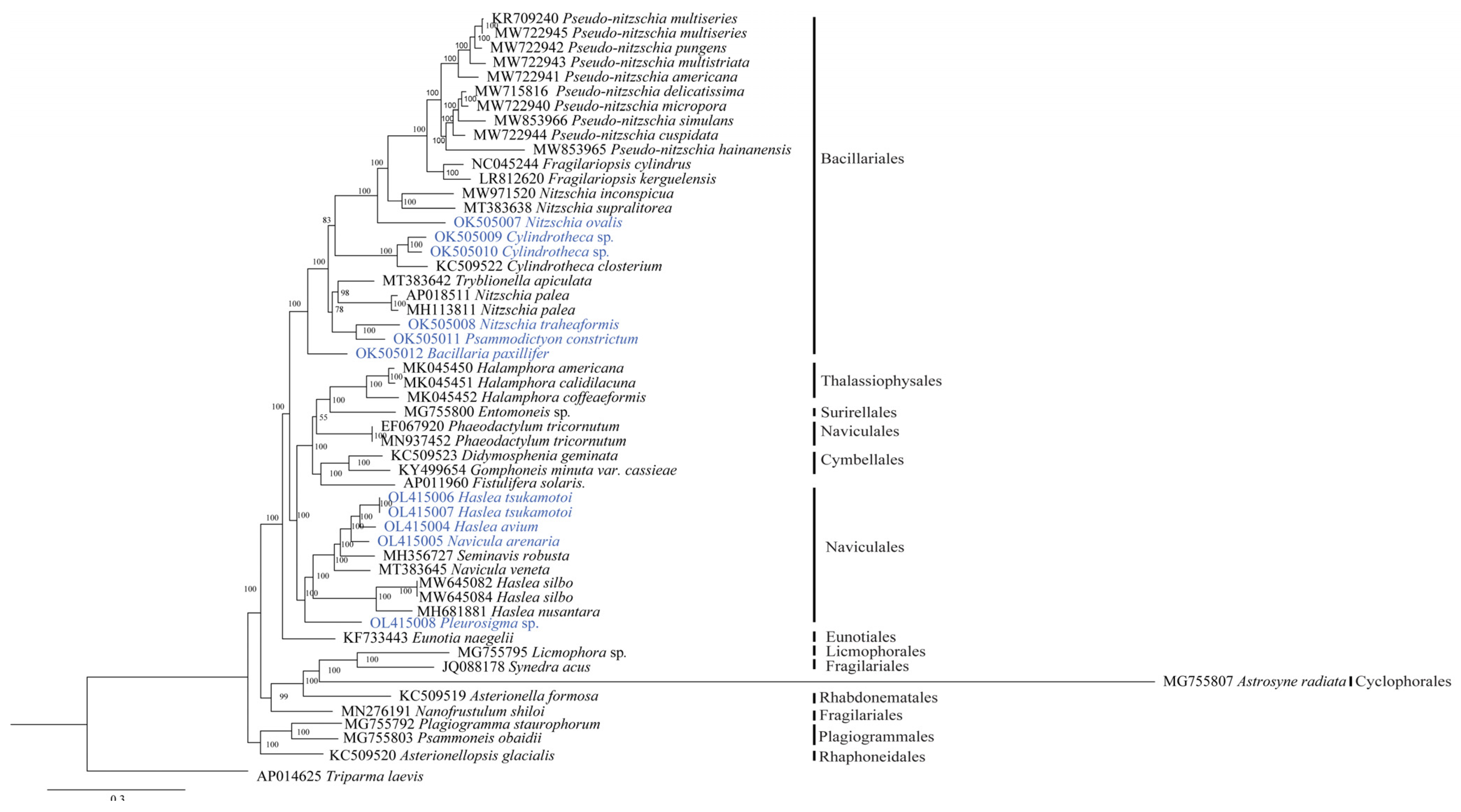Ijerph 19 10024 g005 550