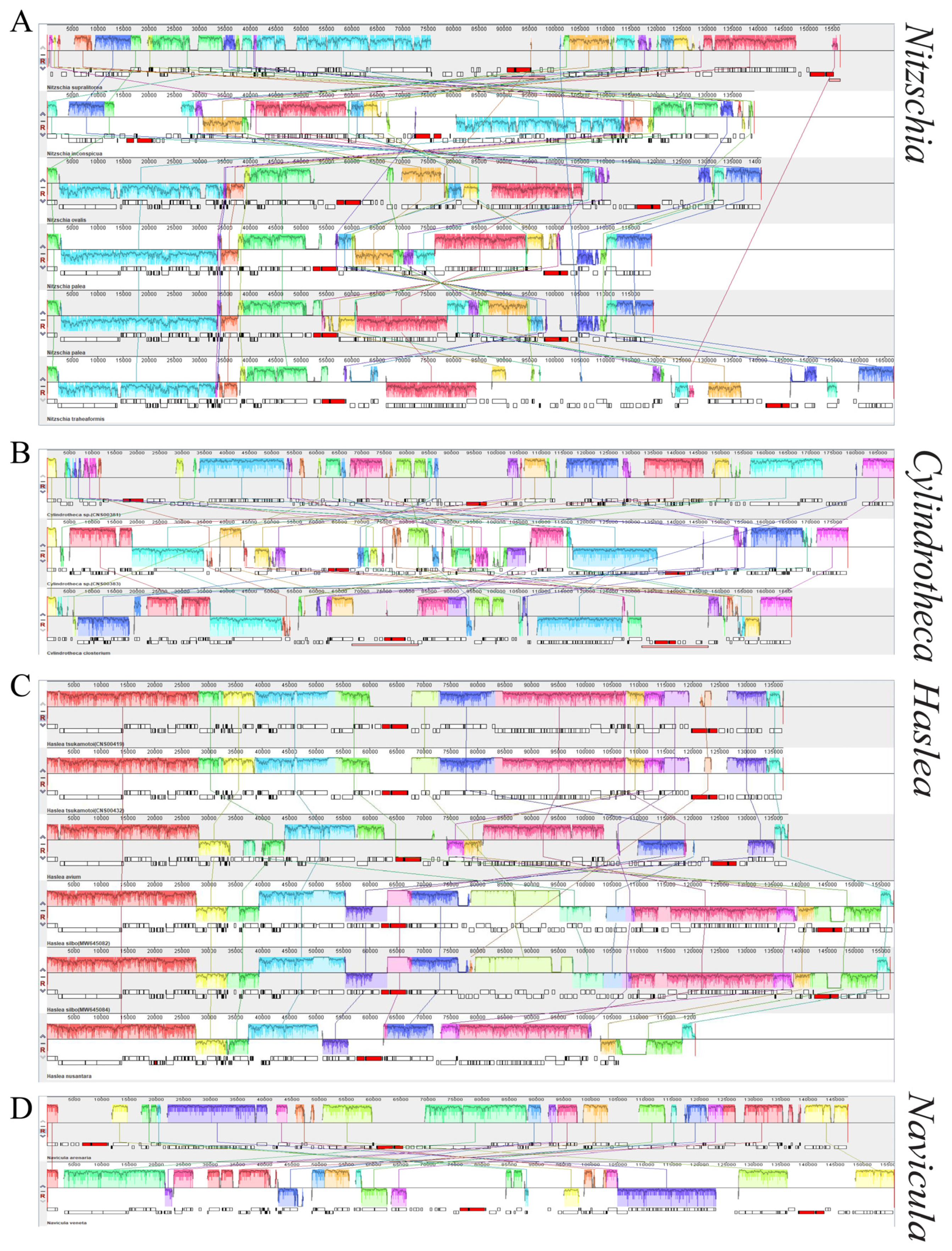 Ijerph 19 10024 g006 550
