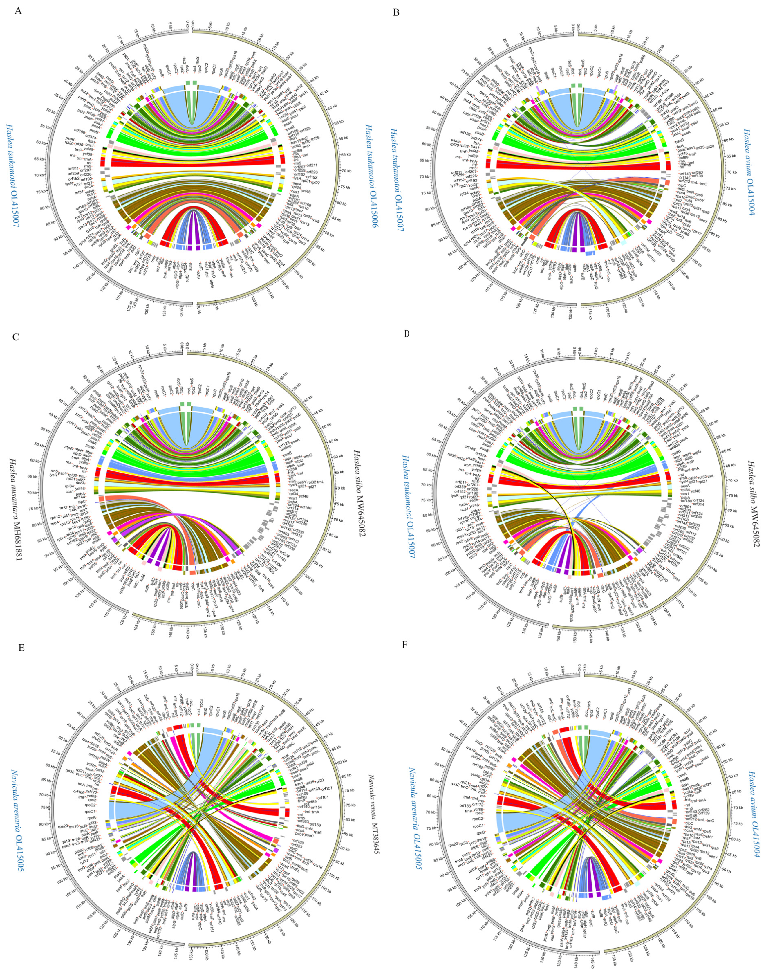 Ijerph 19 10024 g008 550