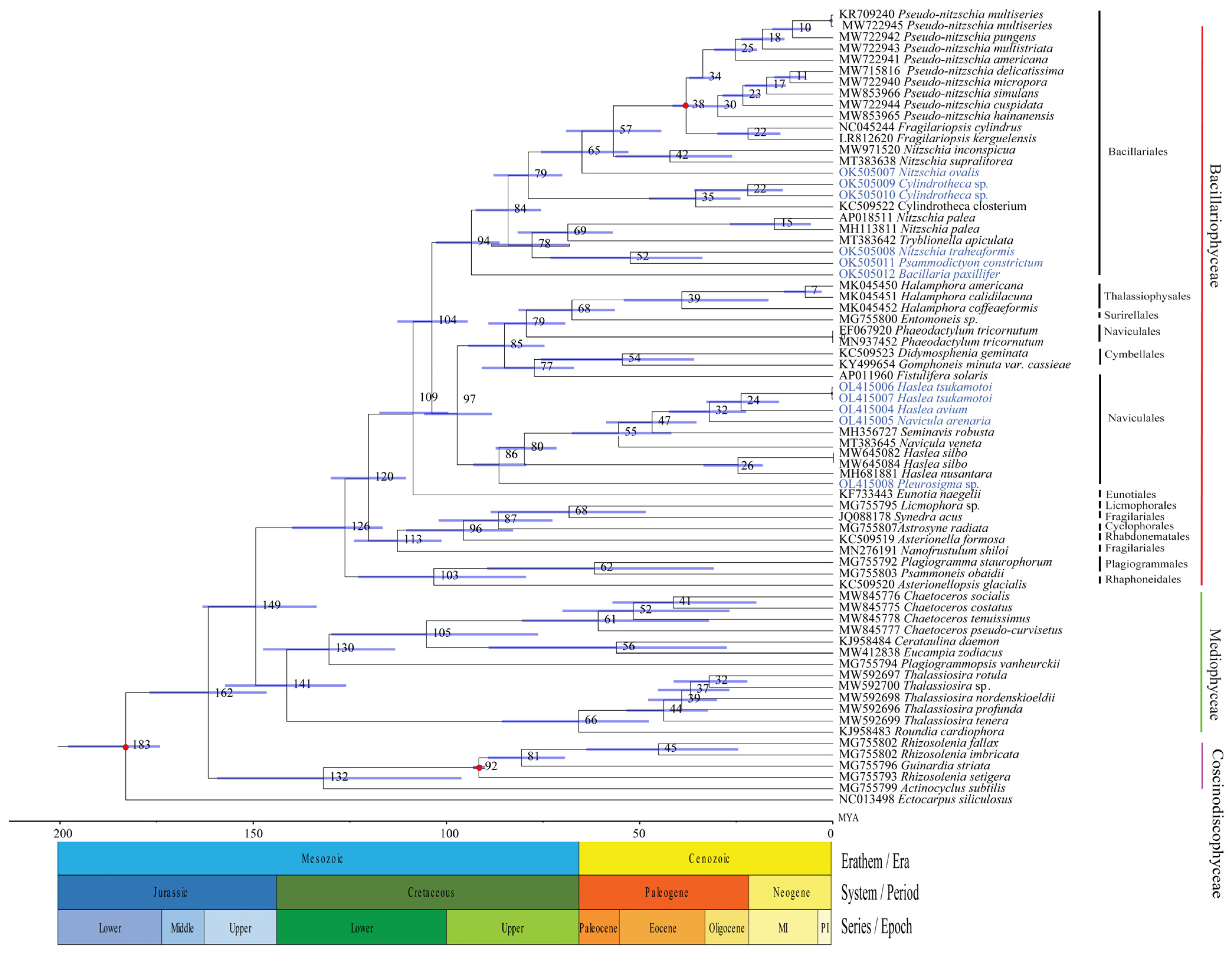 Ijerph 19 10024 g009 550