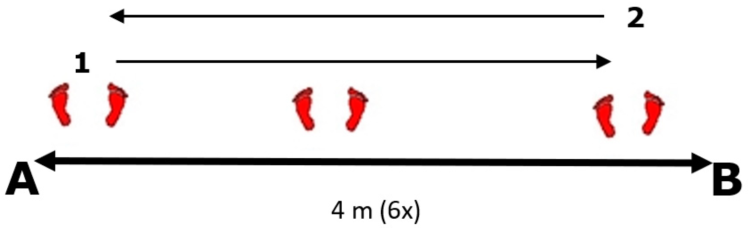 Ijerph 19 10039 g002 550