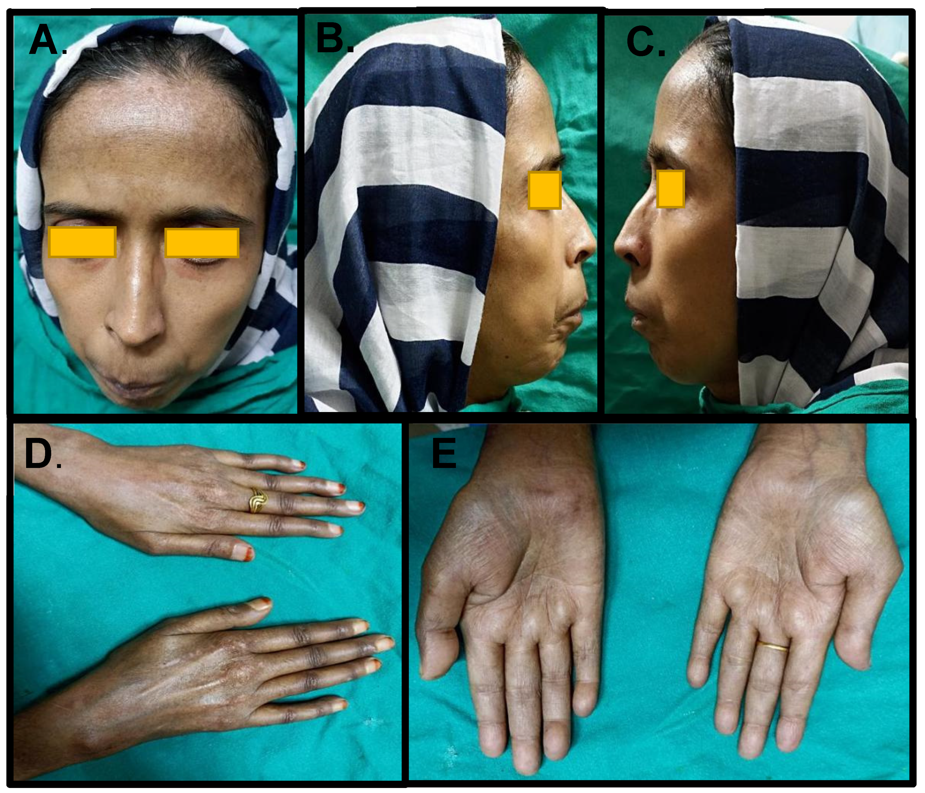 Ijerph 19 10066 g001 550