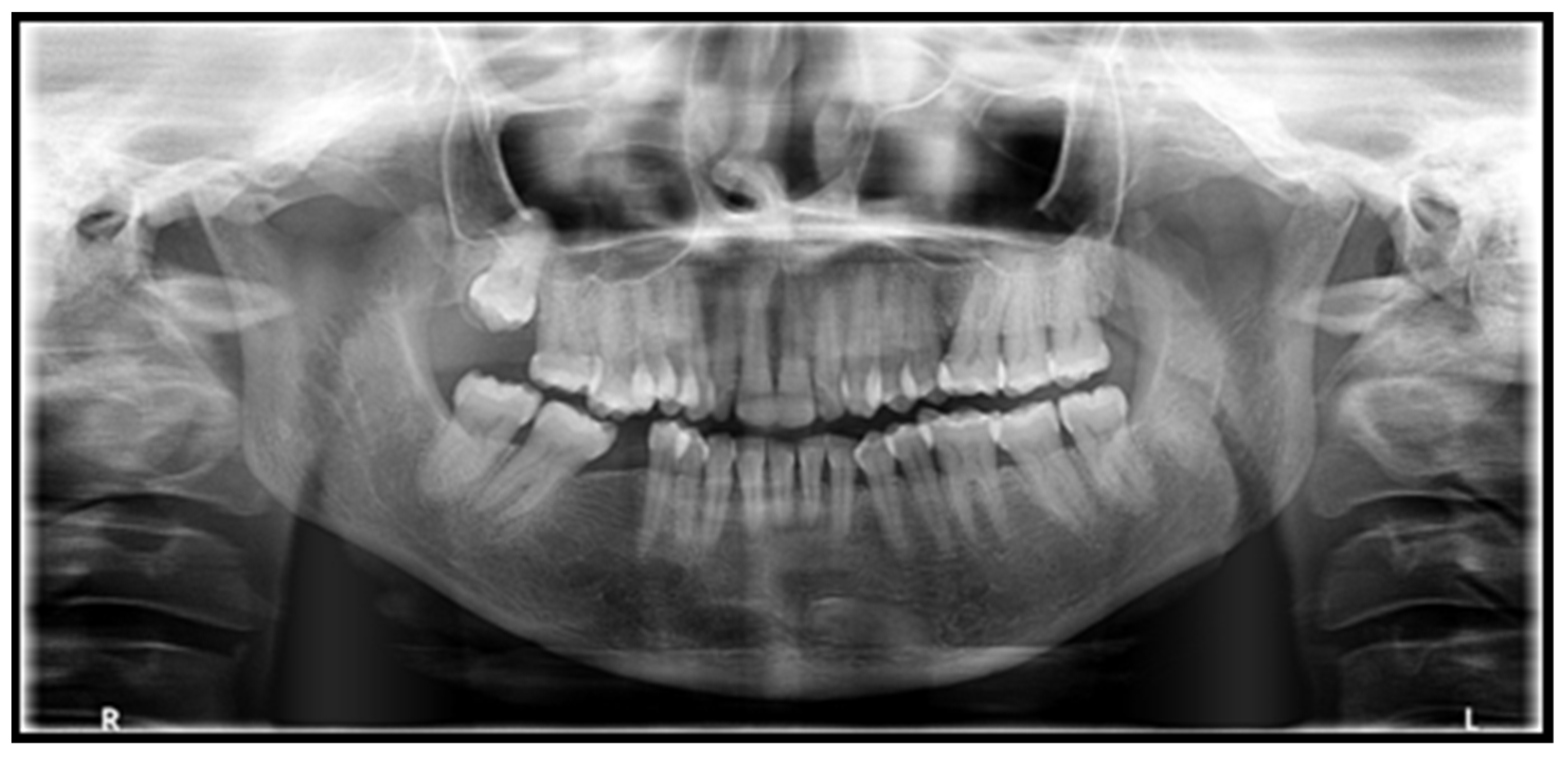 Ijerph 19 10066 g003 550