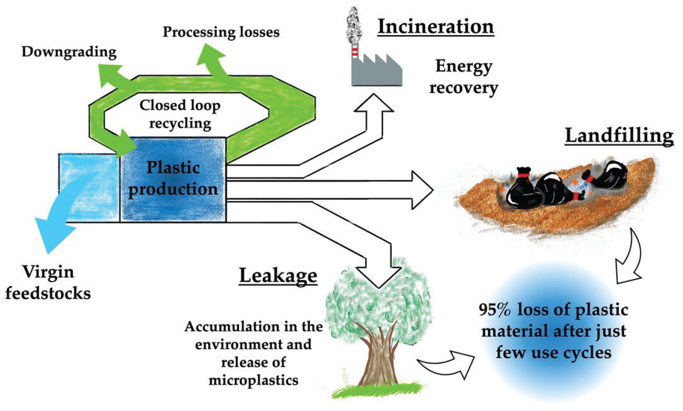 Ijerph 19 10088 g001 550