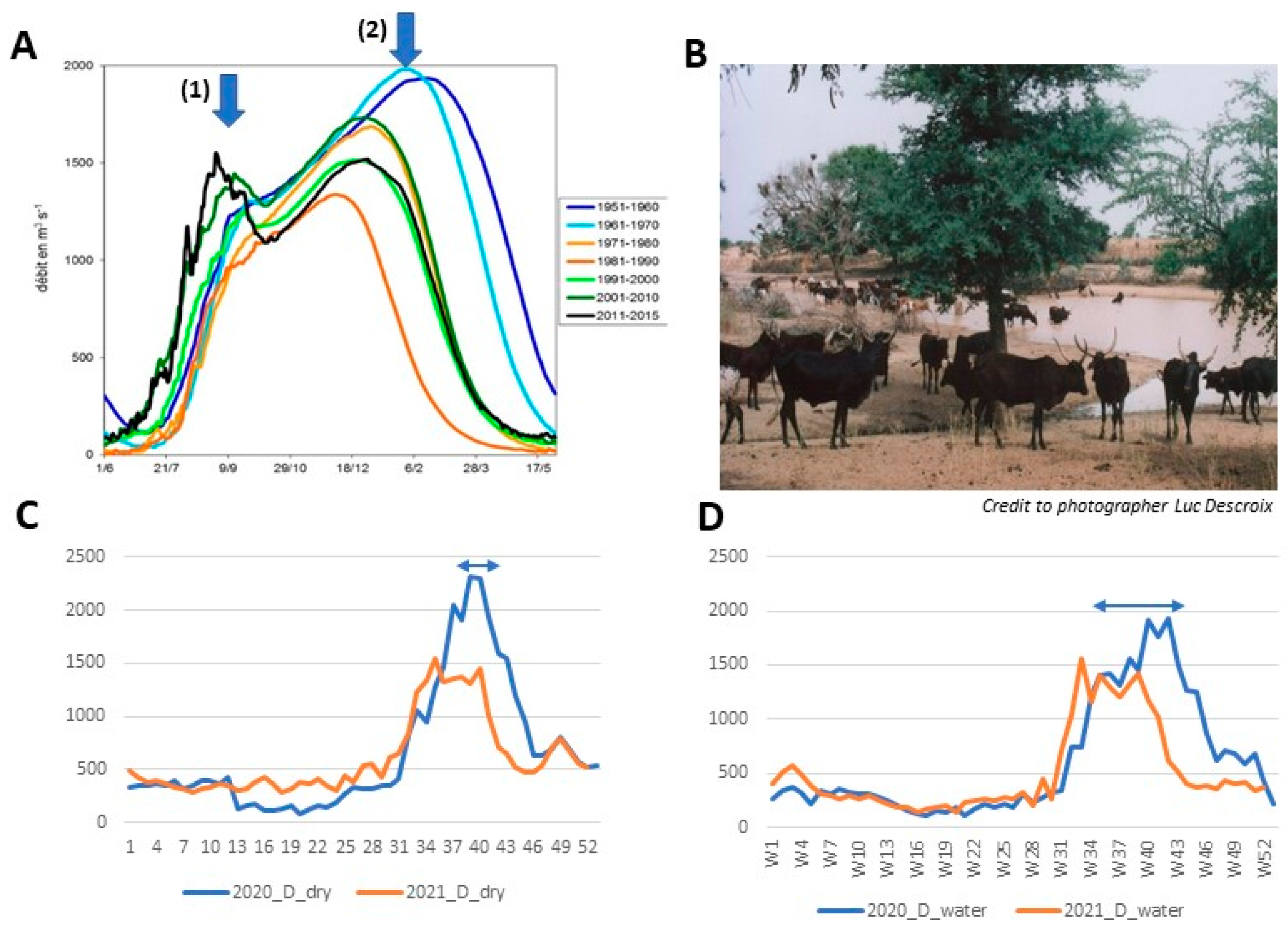 Ijerph 19 10105 g001